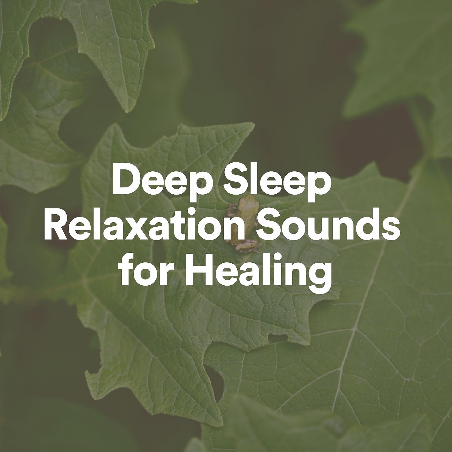 Постер альбома Deep Sleep Relaxation Sounds for Healing