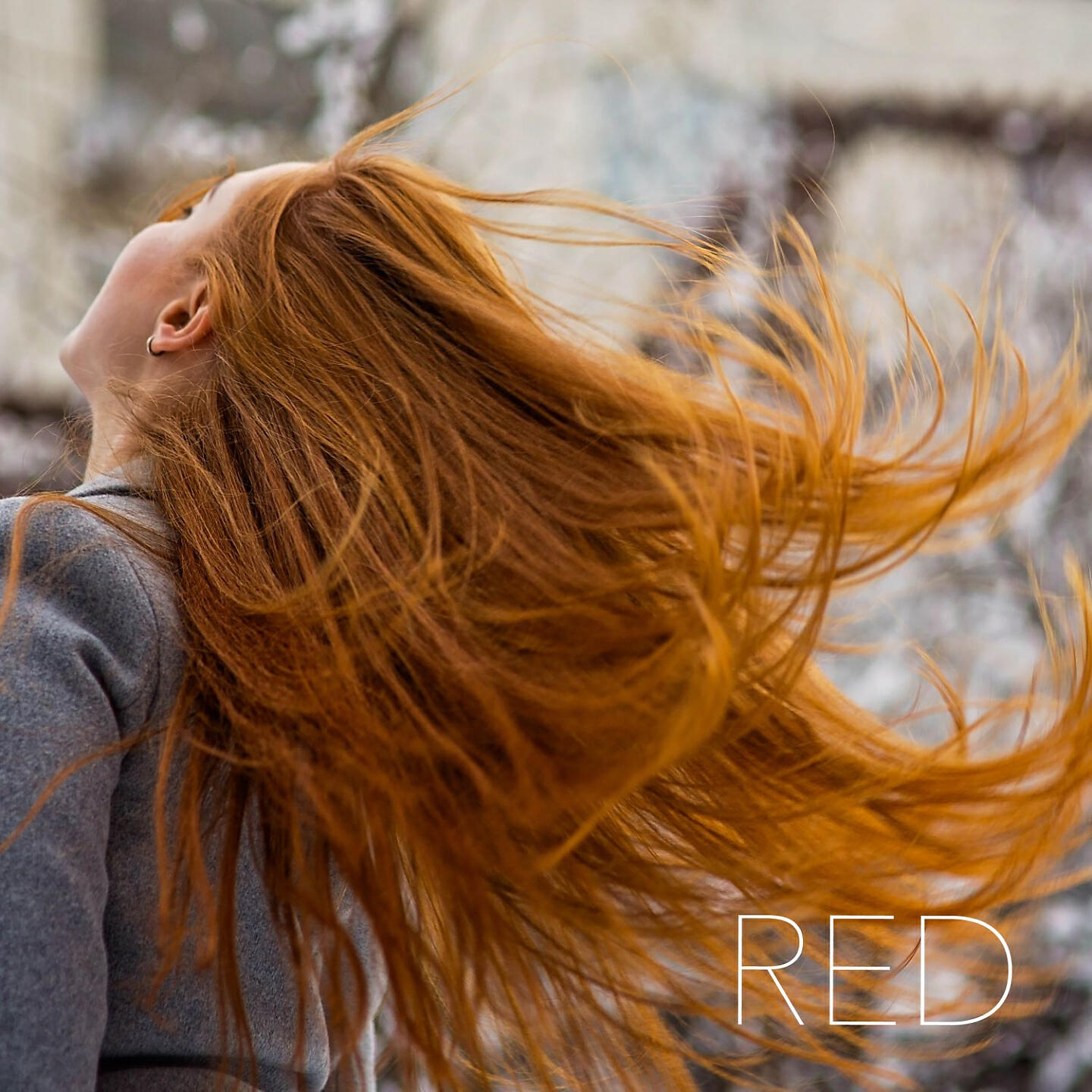 RED - I've Seen This All Before