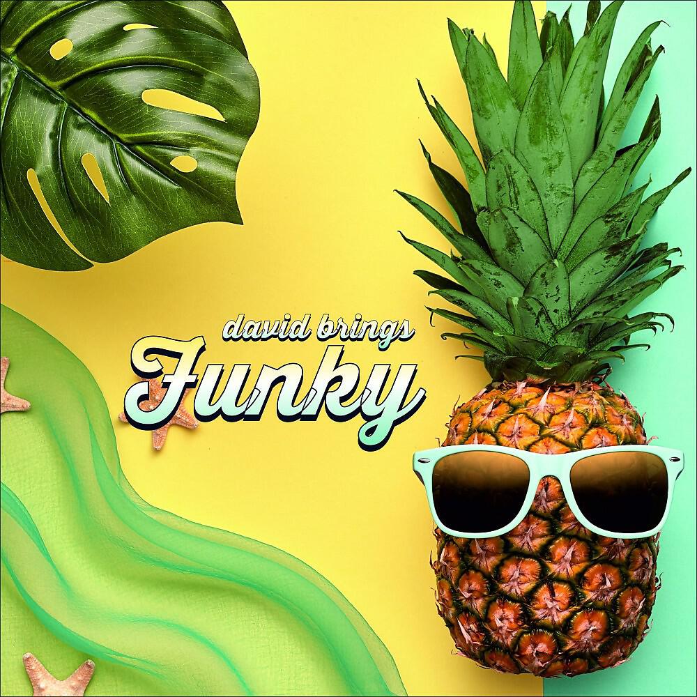 david brings - Funky