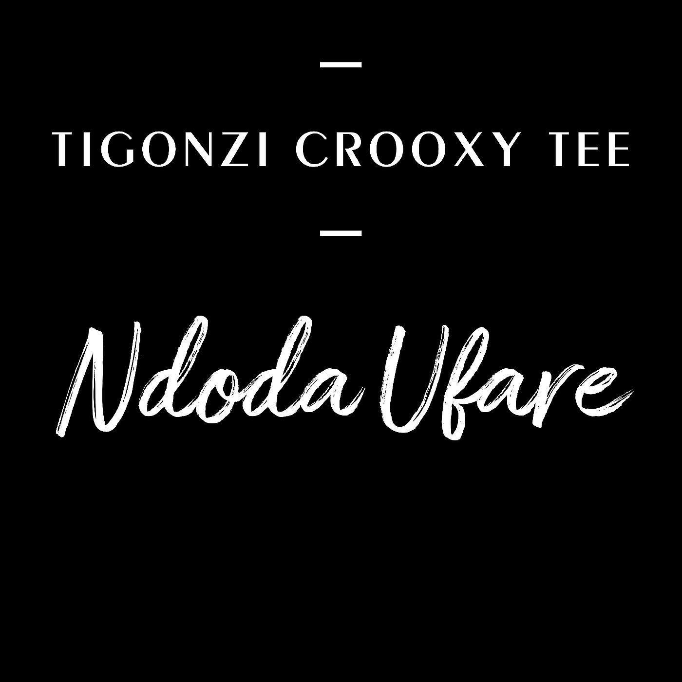 Постер альбома Ndoda Ufare