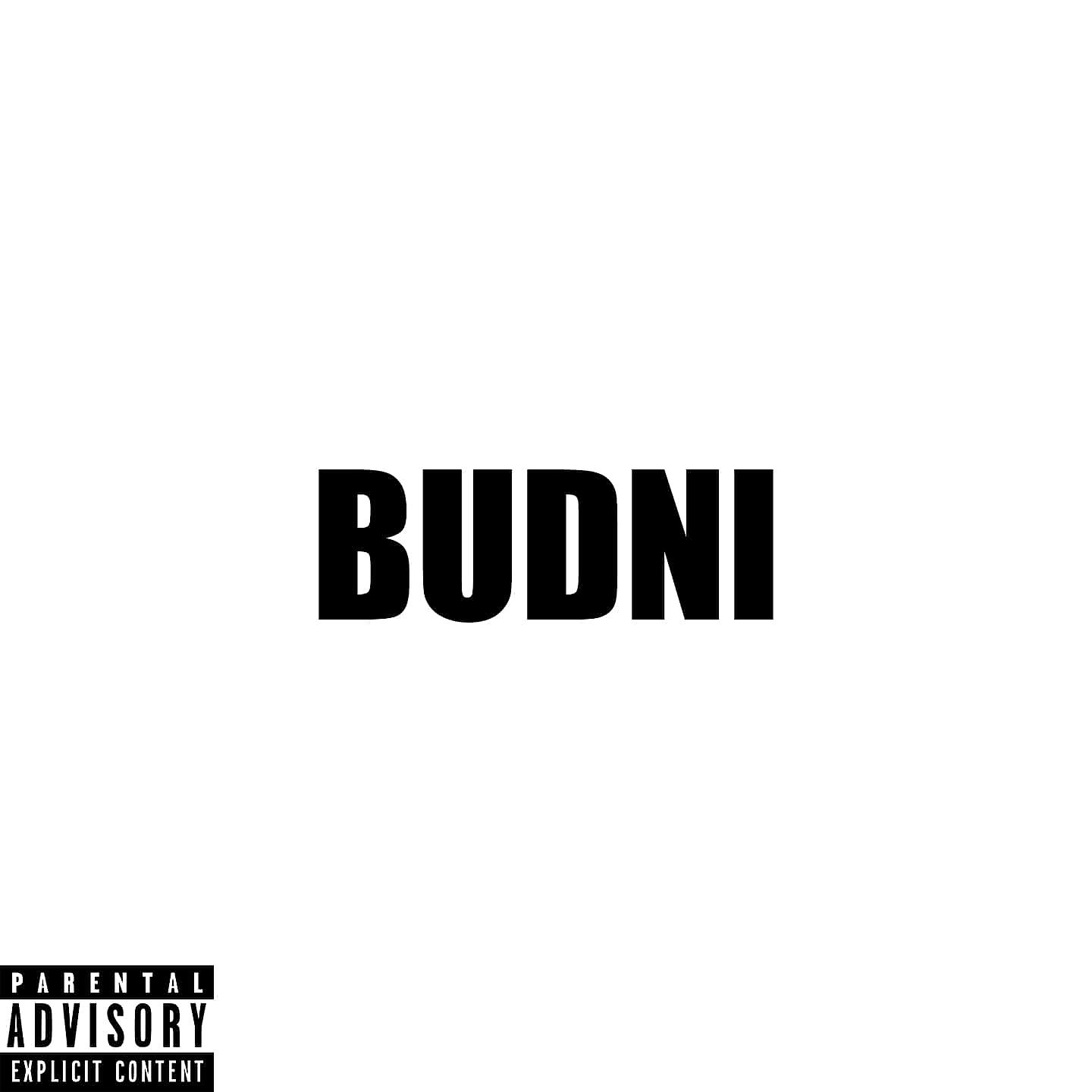 Постер альбома BUDNI