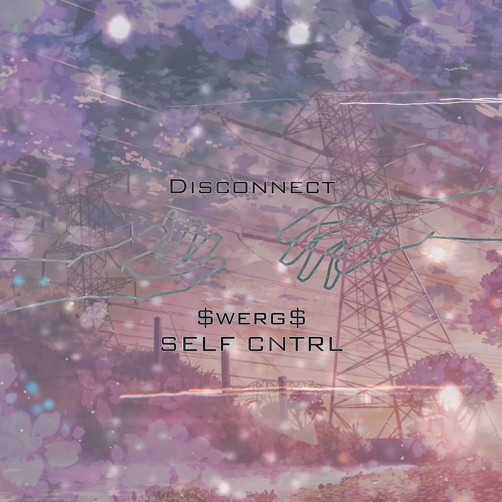 Постер альбома Disconnect