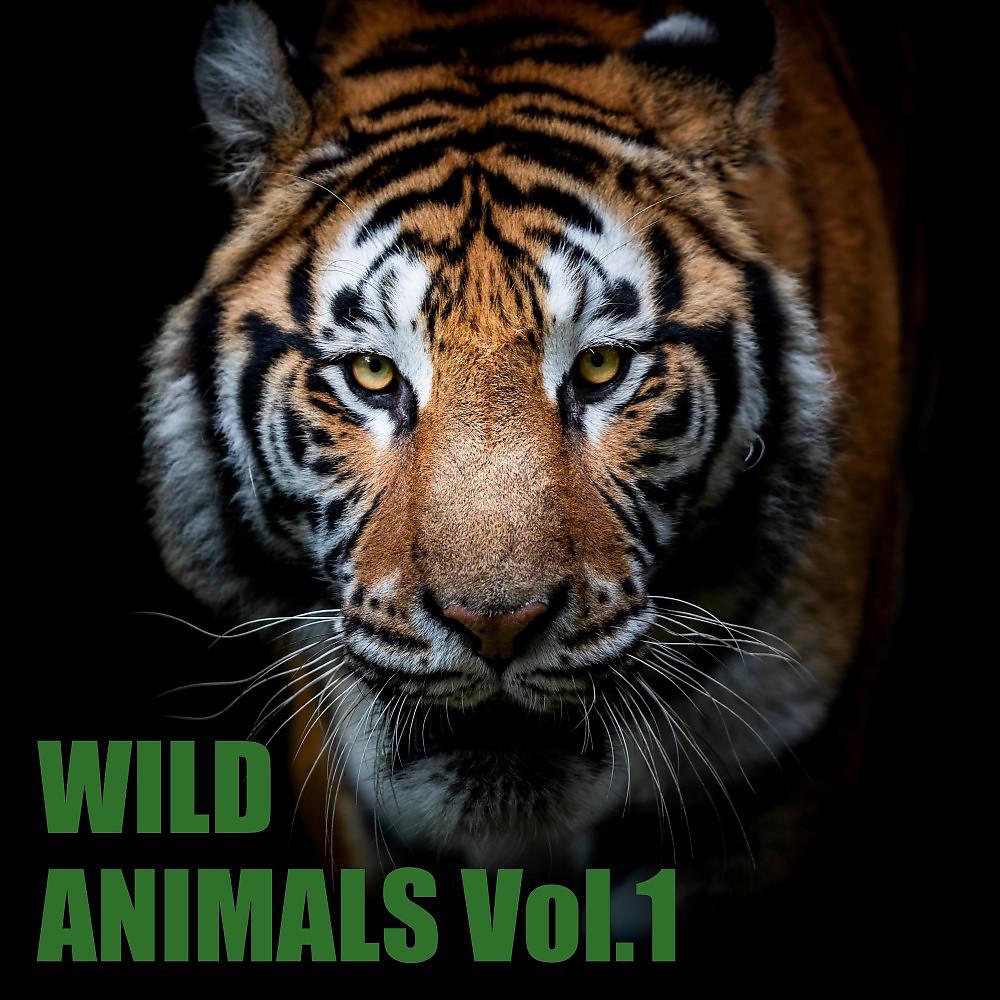 Постер альбома Wild Animals, Vol. 1