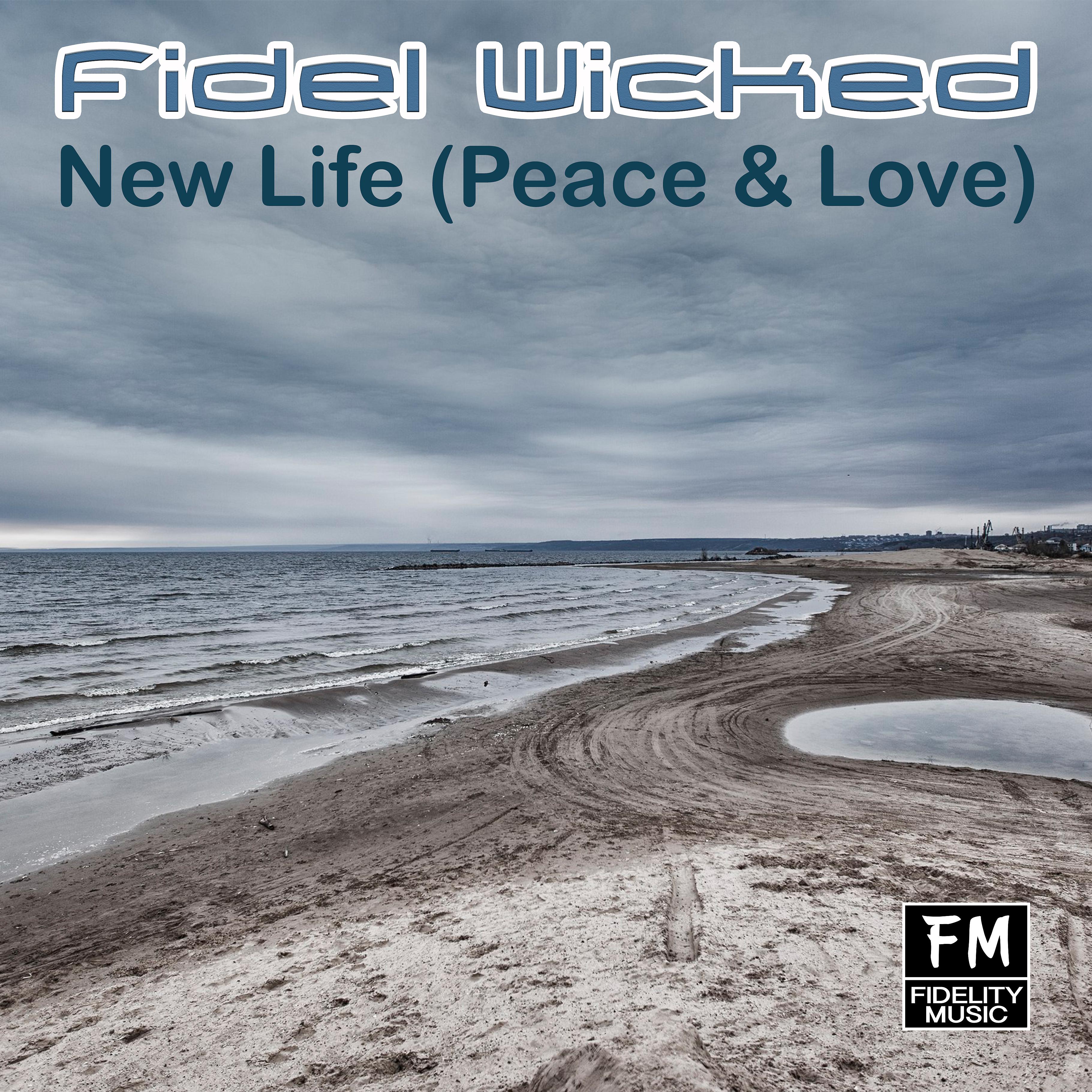 Постер альбома New Life (Peace & Love)