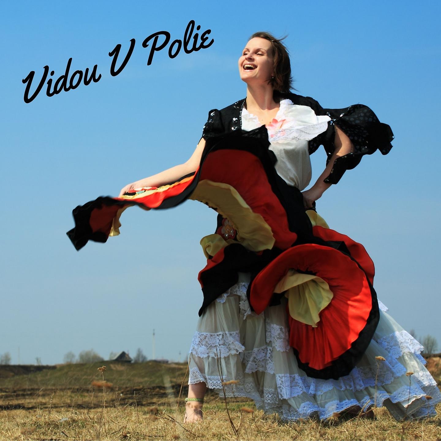 Постер альбома Vidou V Polie