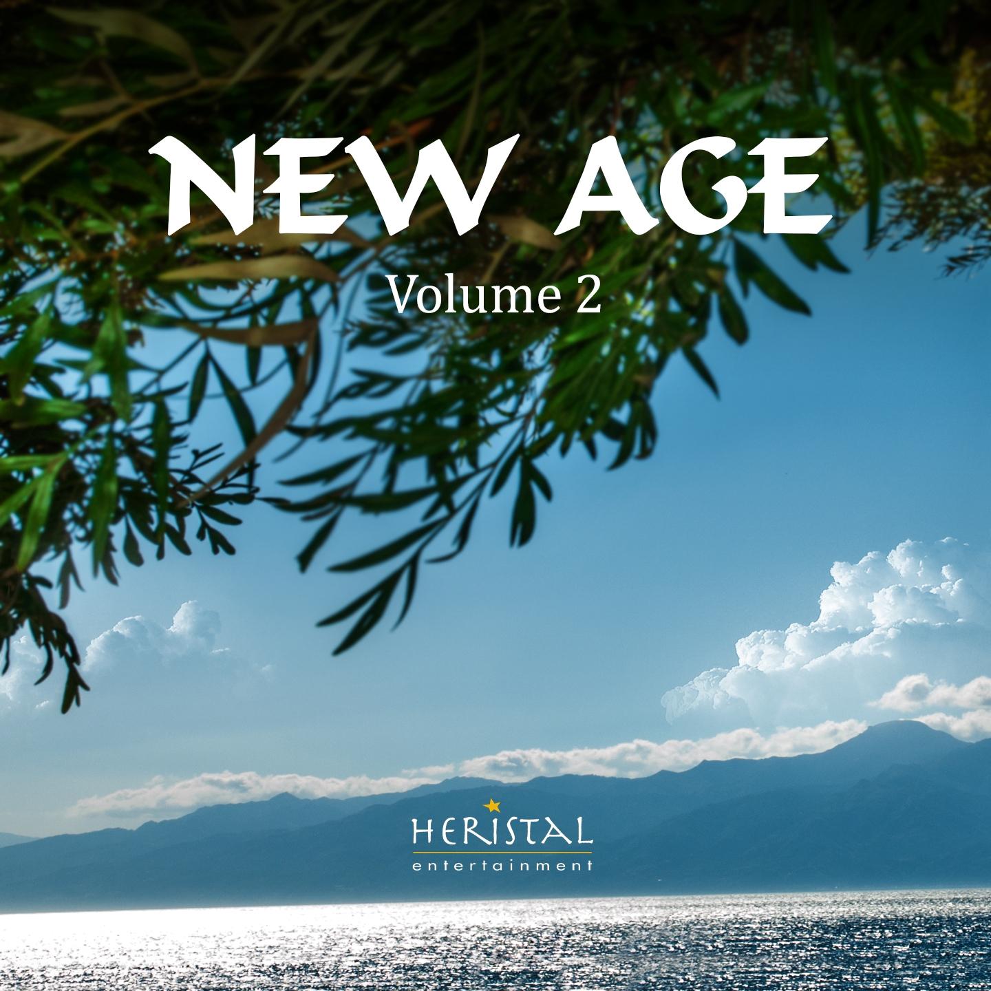 Постер альбома New Age, Vol. 2