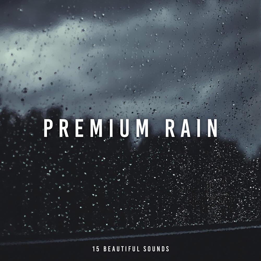 Whale Sounds - Melodic Rain