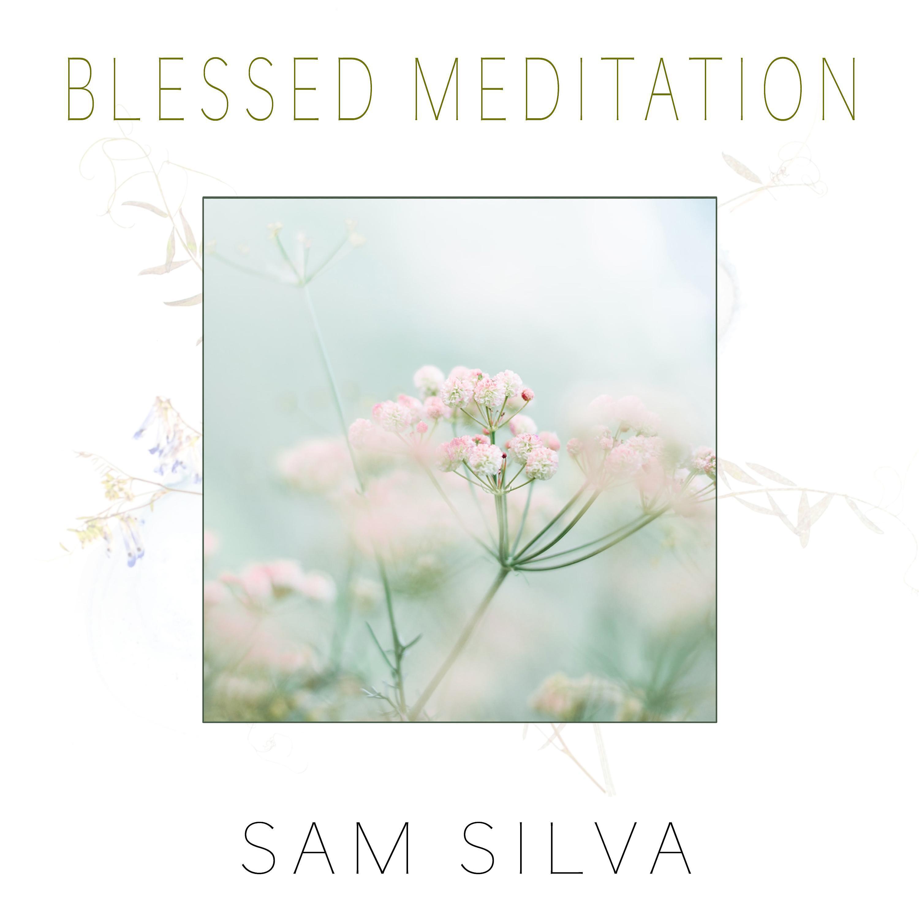 Постер альбома Blessed Meditation