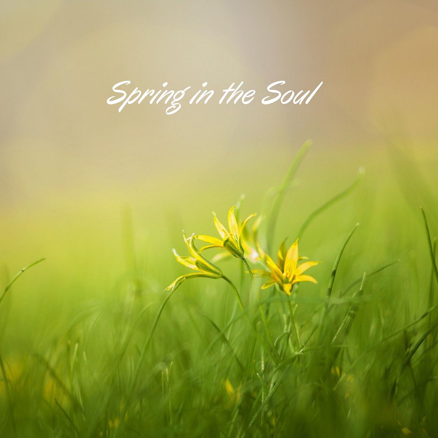 Постер альбома Spring in the Soul