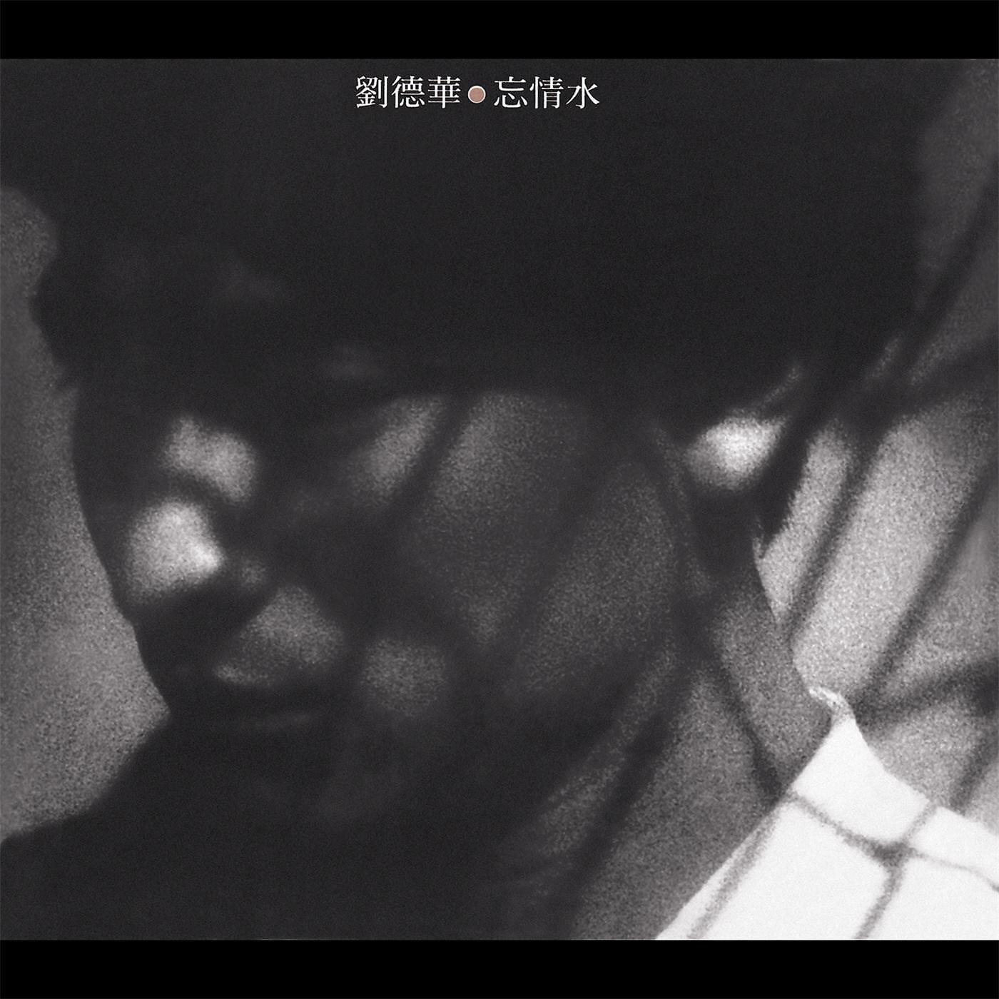 Andy Lau - Feng Hui Lu Zhuai