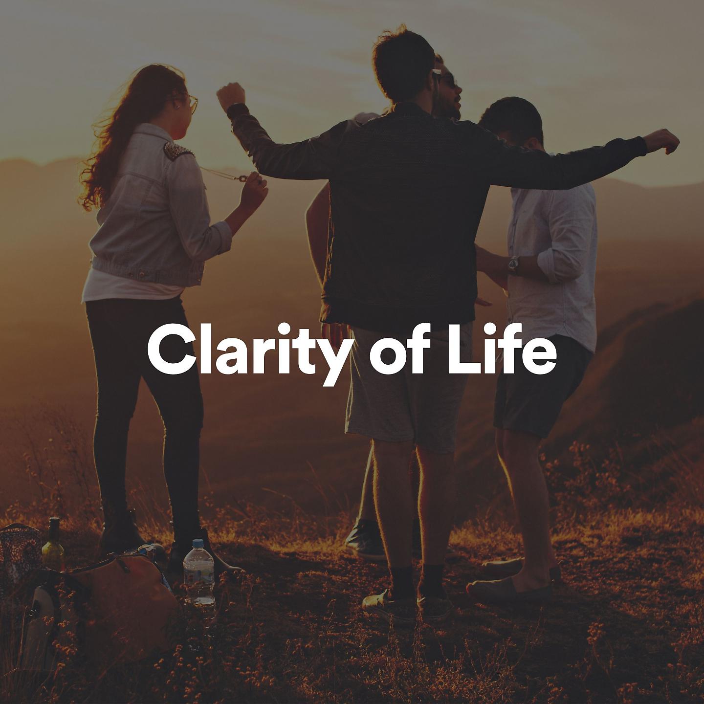 Постер альбома Clarity of Life