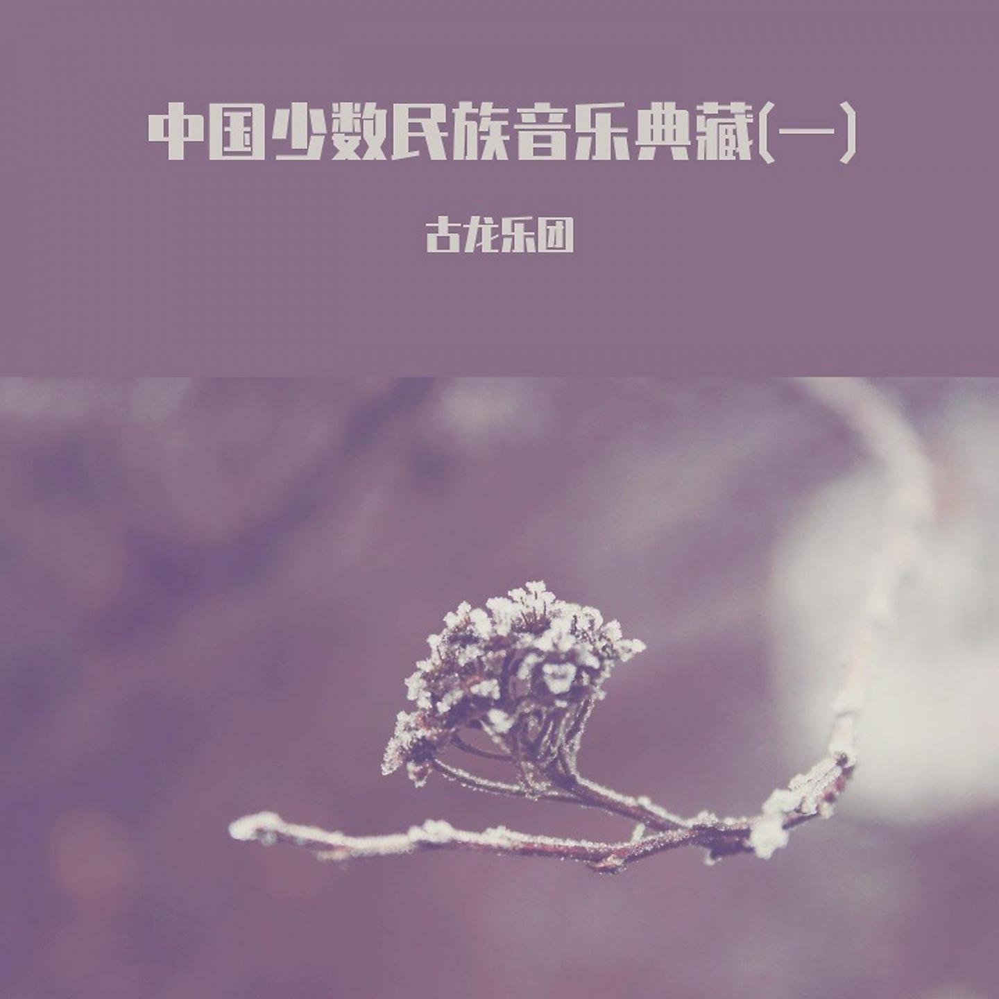 Постер альбома 中国少数民族音乐典藏(一)