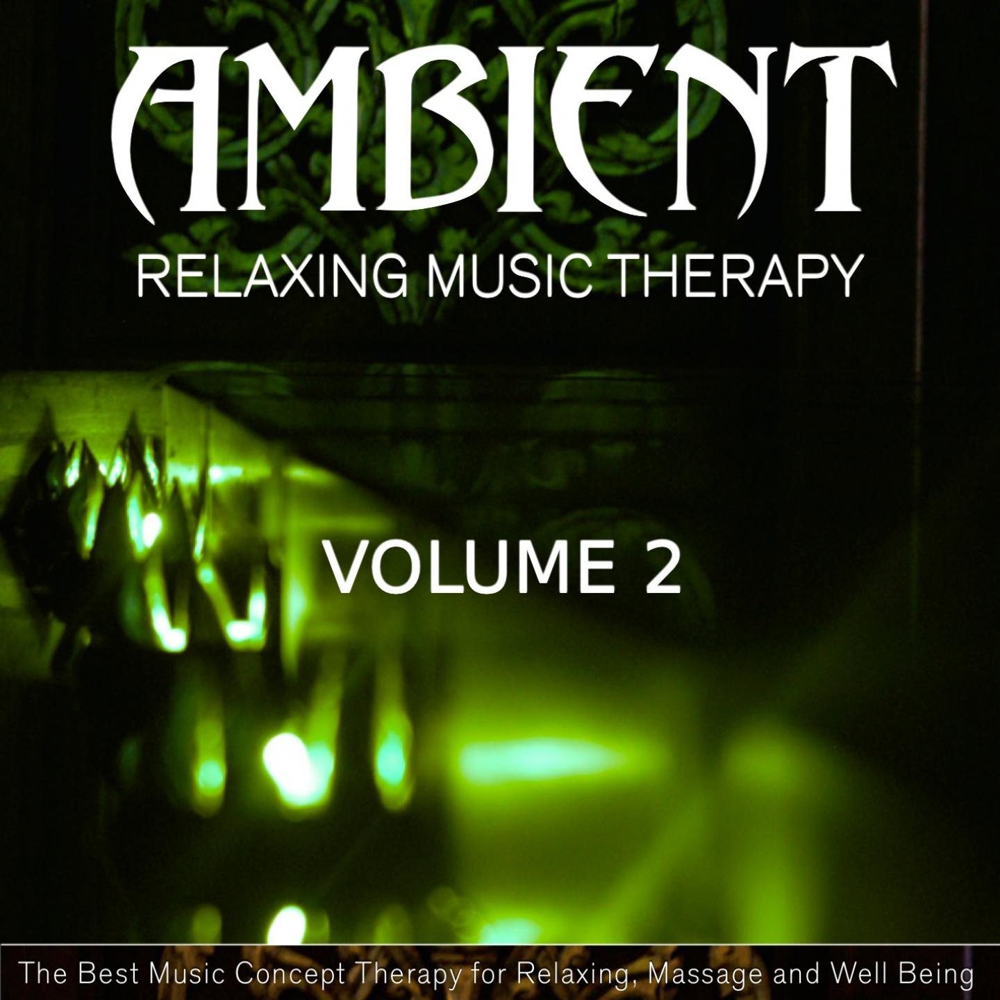 Постер альбома Ambient Relaxing Music Therapy, Vol. 2