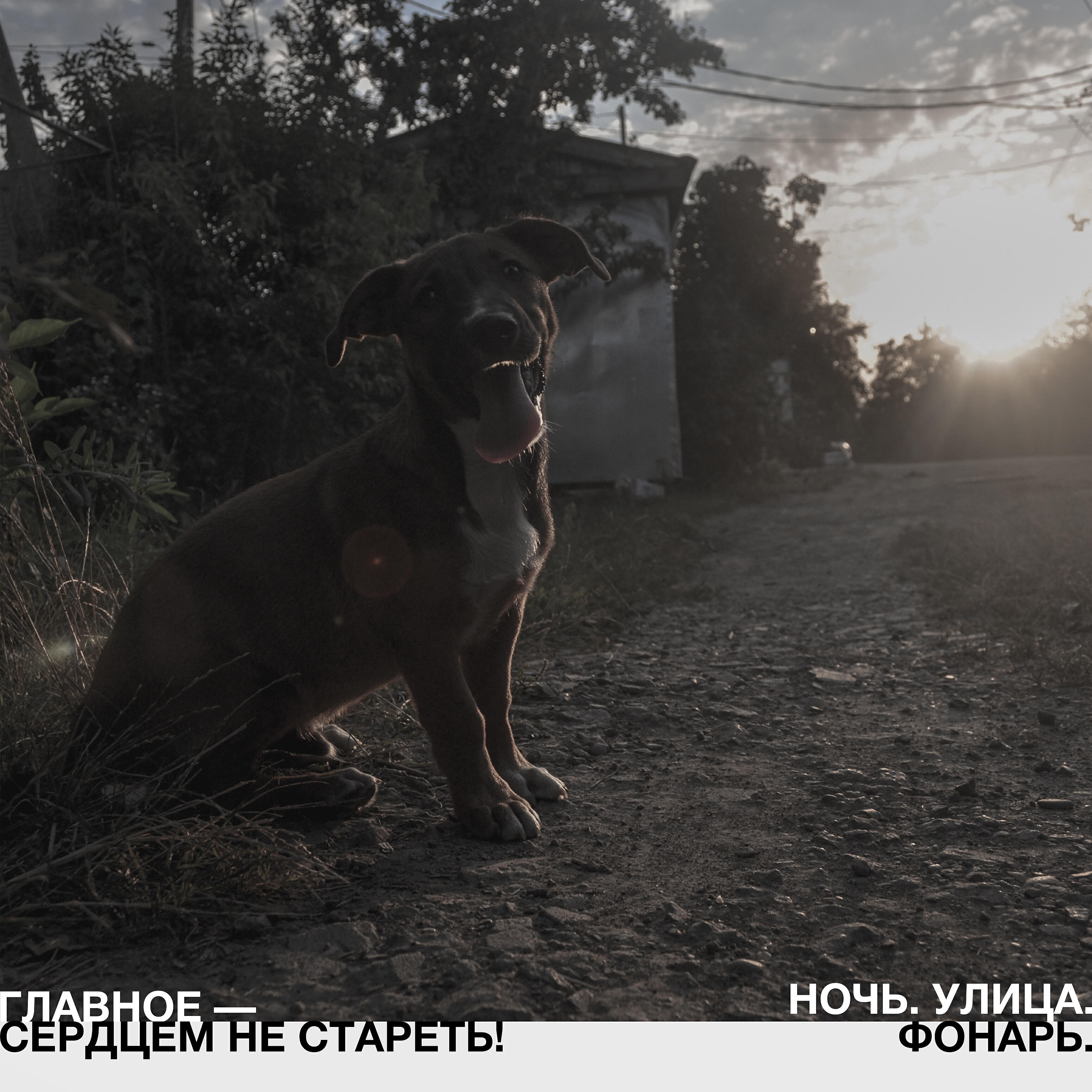 Альбом Главное - сердцем не стареть! исполнителя Ночь. Улица. Фонарь.