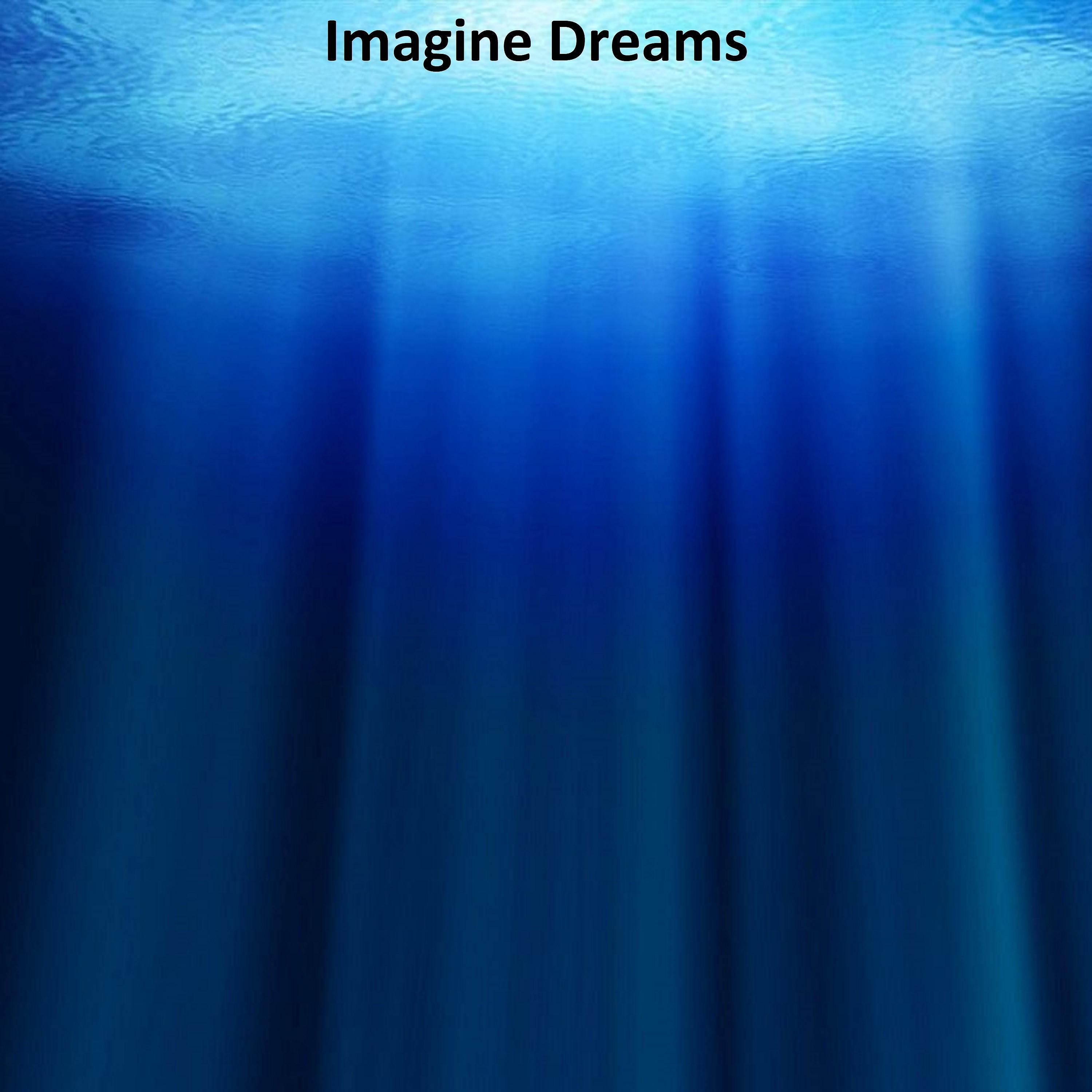 Постер альбома Imagine Dreams