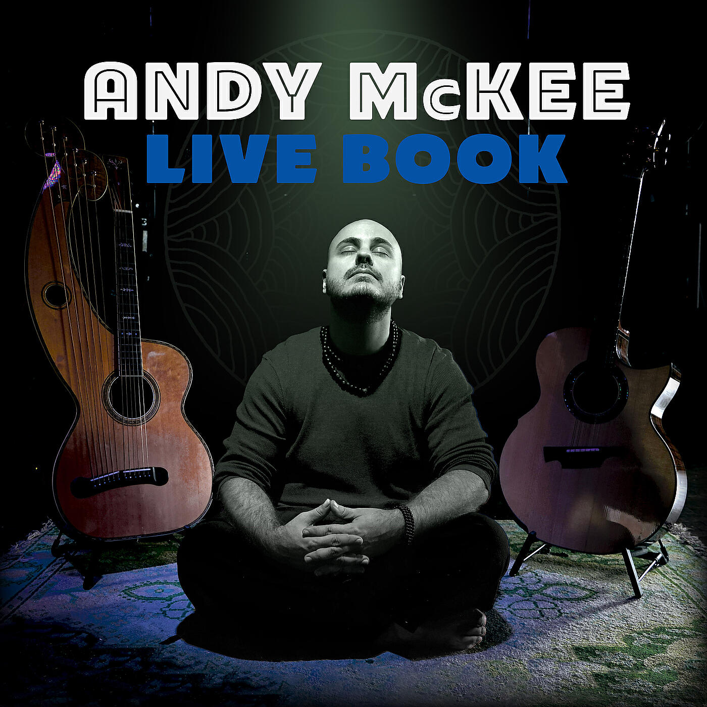 Andy McKee - Rylynn