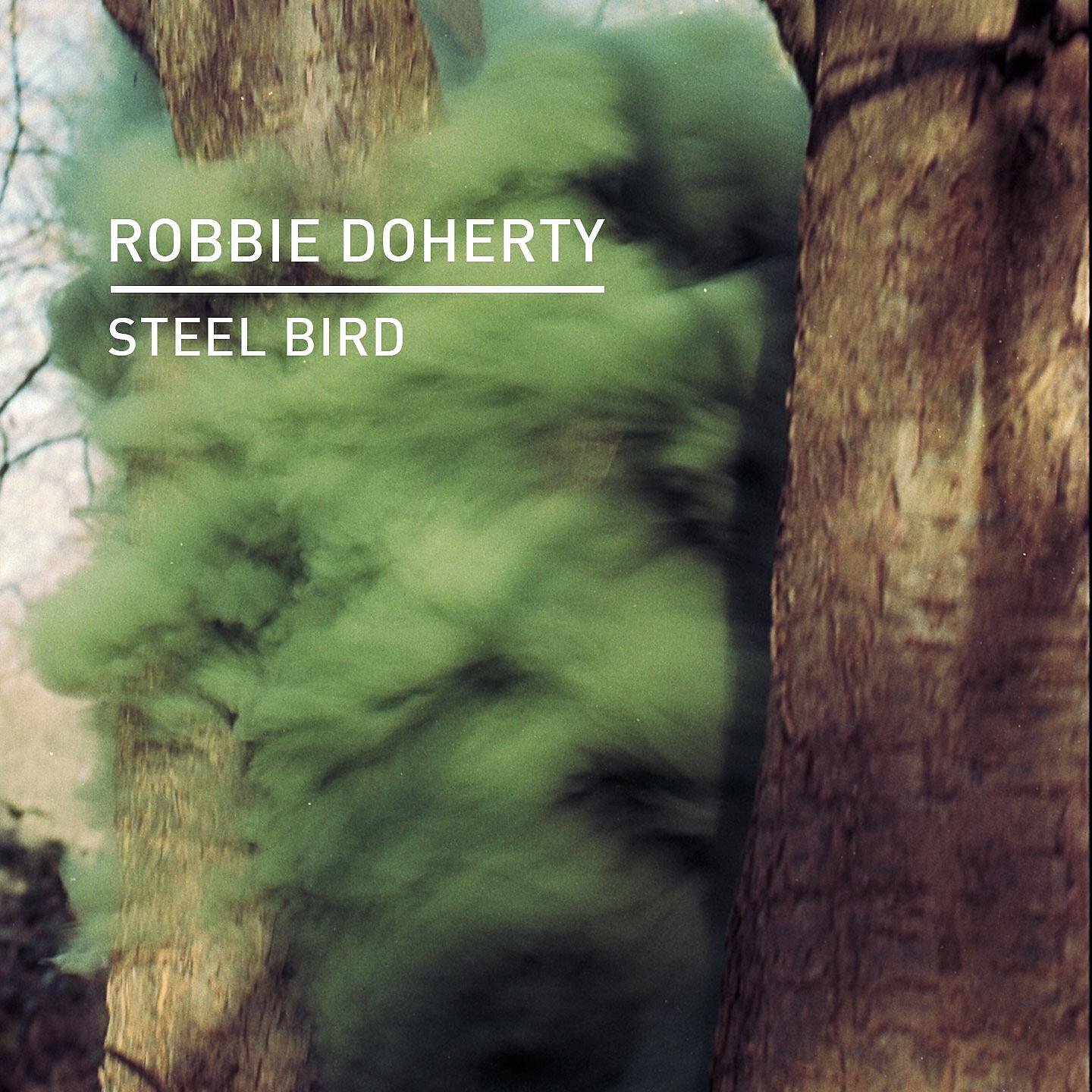 Robbie Doherty - Steel Bird