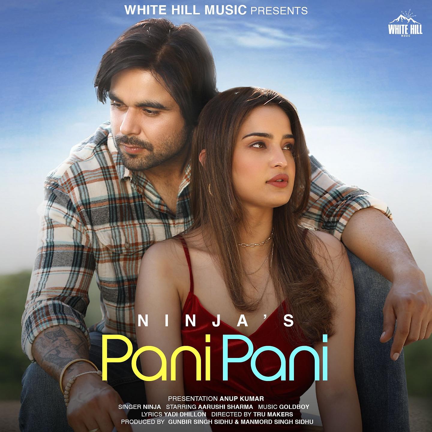 Постер альбома Pani Pani