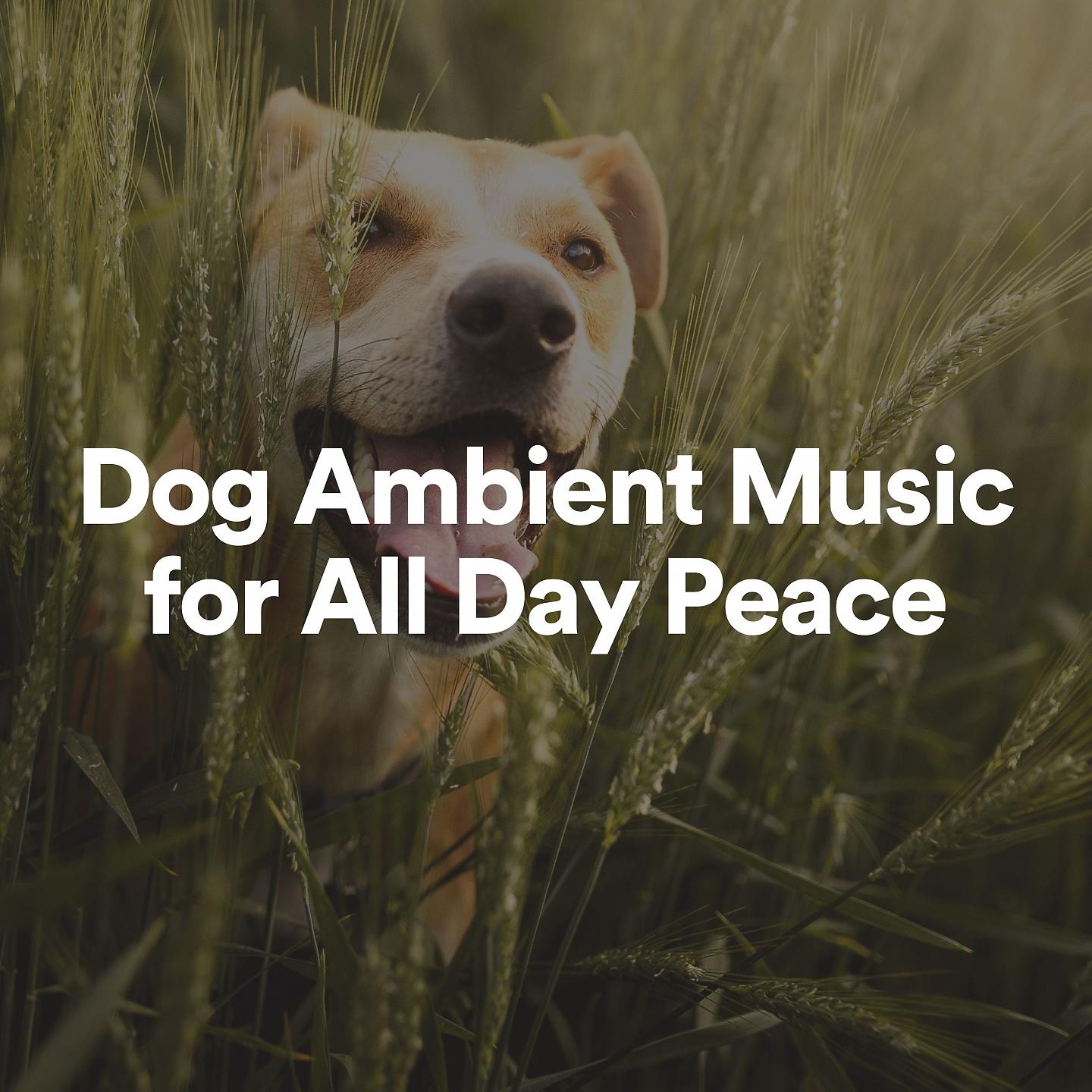 Постер альбома Dog Ambient Music for All Day Peace