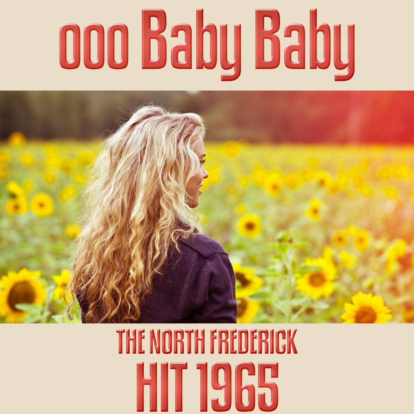 Постер альбома Ooo Baby Baby (The North Frederick Hit 1965)