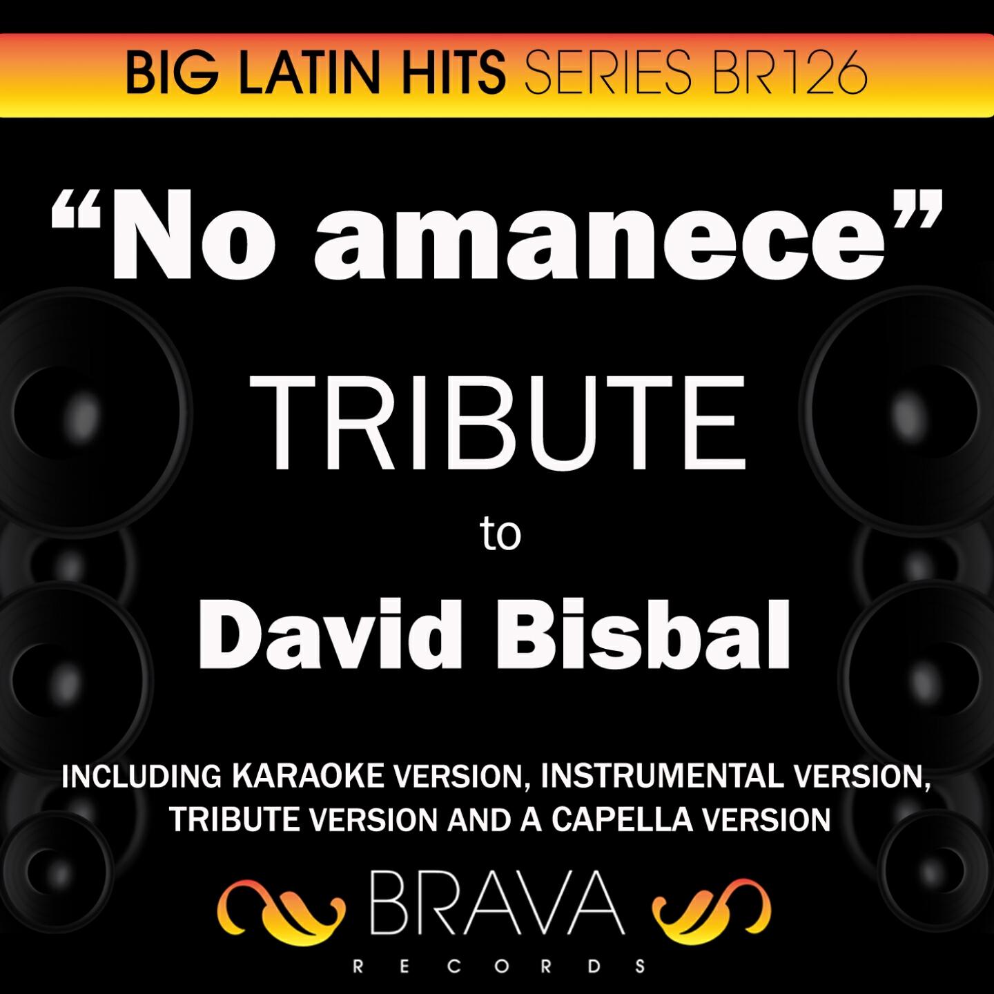 Brava HitMakers - No Amanece (In The Style Of David Bisbal) [Instrumental Version]