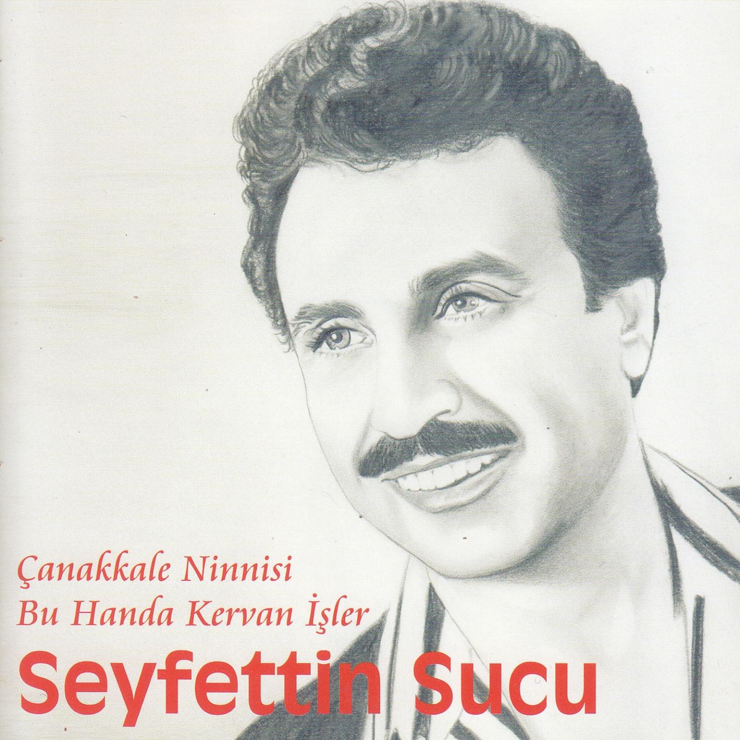 Постер альбома Çanakkale Ninnisi