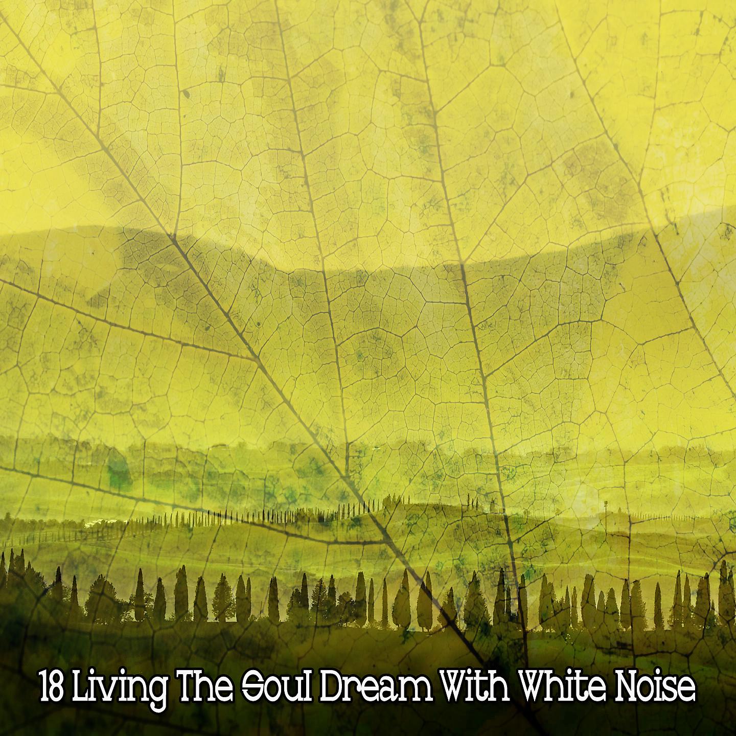 Постер альбома 18 Жизнь мечты души с белым шумом