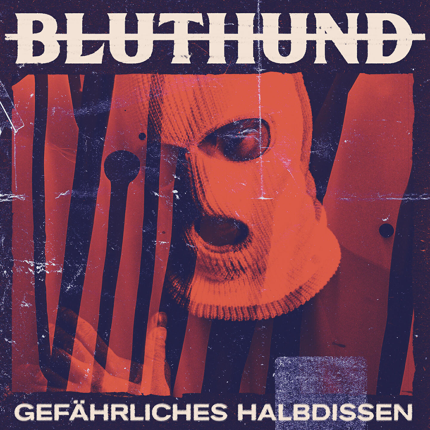 BLUTHUND - Büro until Rente