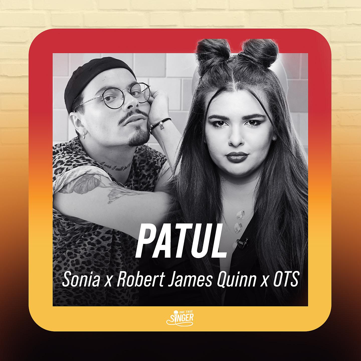 Постер альбома Patul