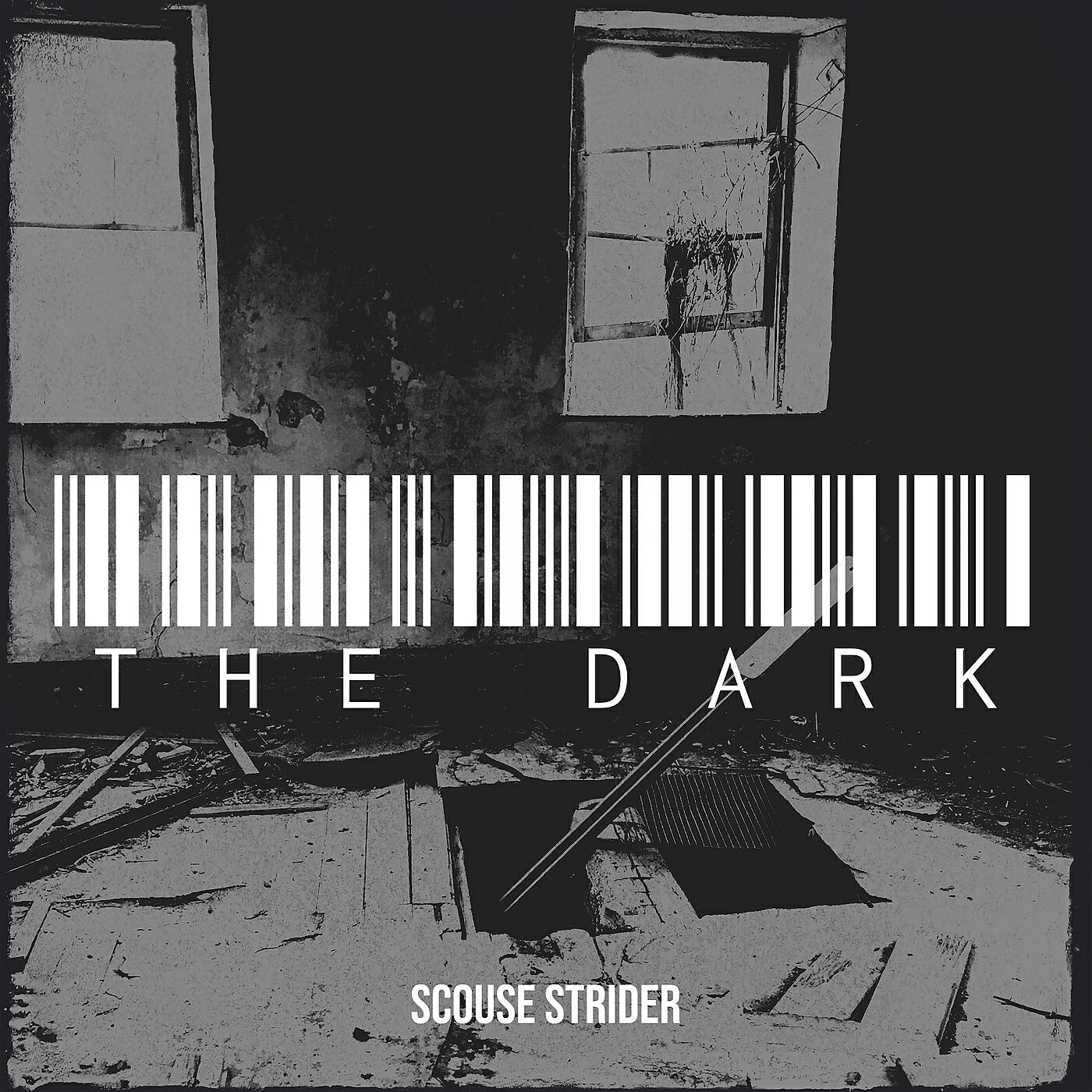 Scouse strider - The Dark