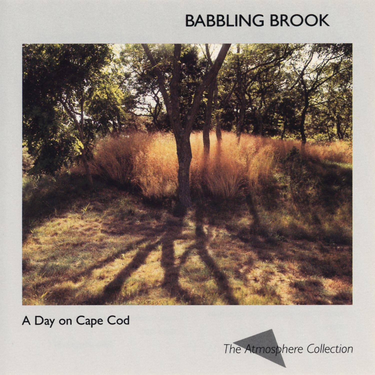 Atmosphere Collection - A Day on Cape Cod: Babbling Brook
