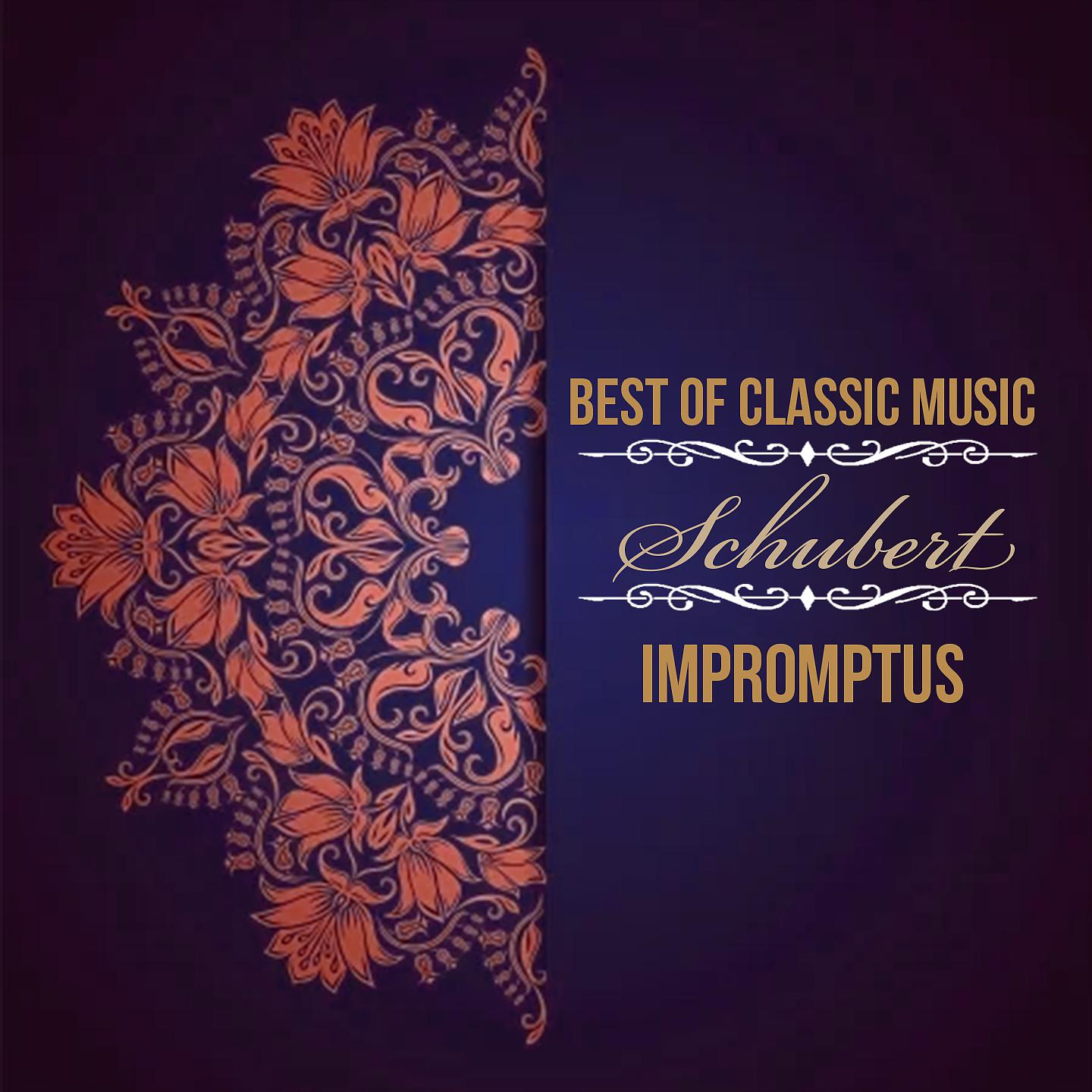 Постер альбома Best of Classic Music, Schubert - Impromptus