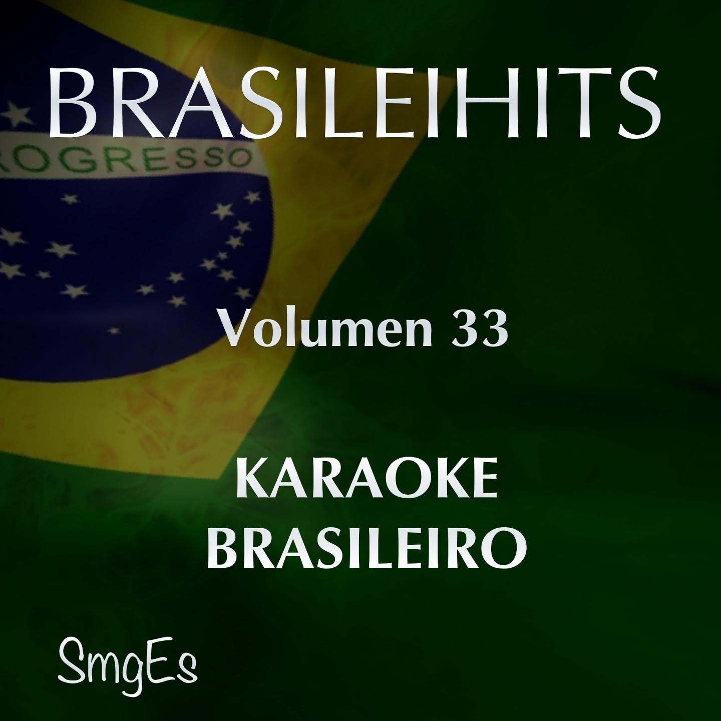 Постер альбома BrasileiHits, Vol. 33 (Karaoke Version)