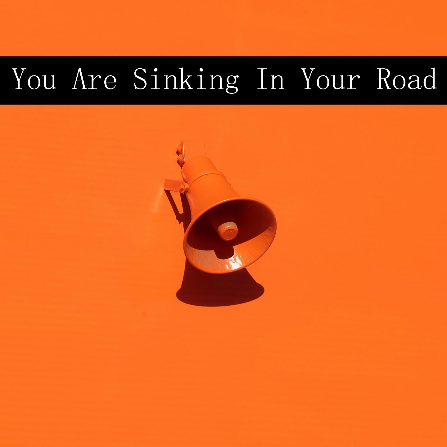Постер альбома You Are Sinking In Your Road