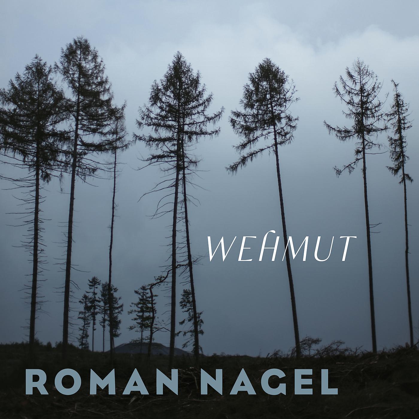 Постер альбома Wehmut