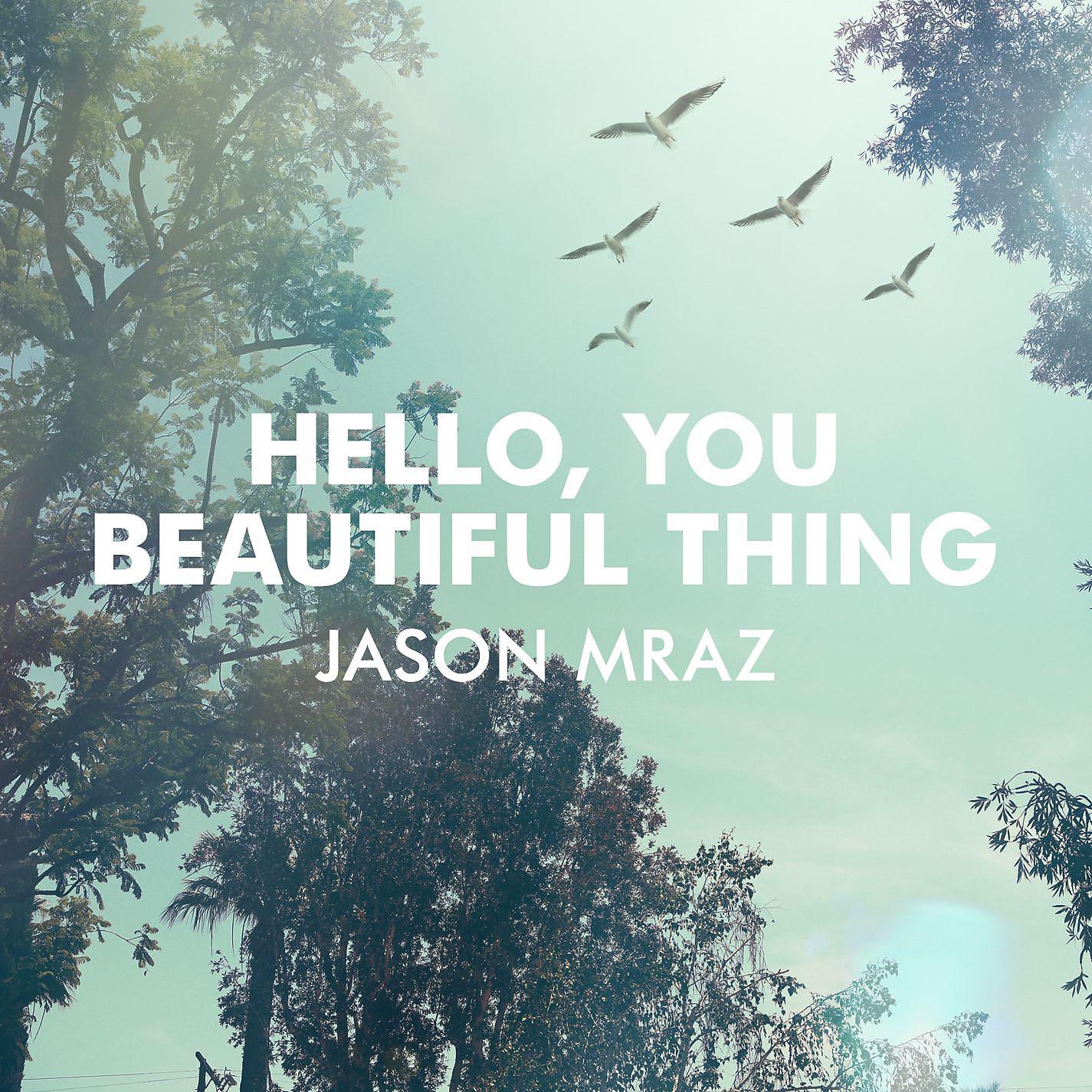 Постер альбома Hello, You Beautiful Thing