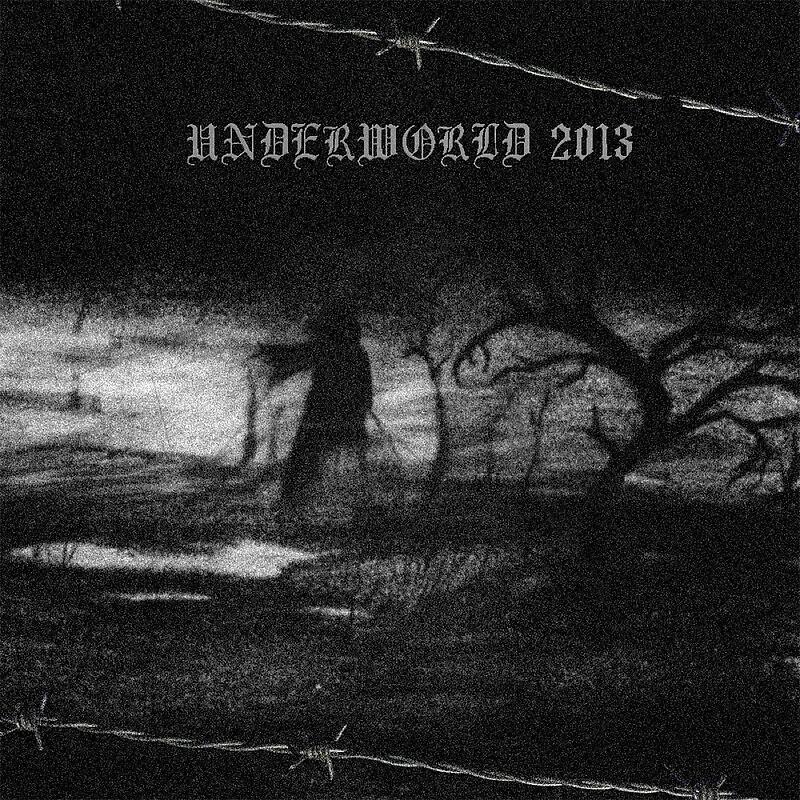 Постер альбома Underworld 2013