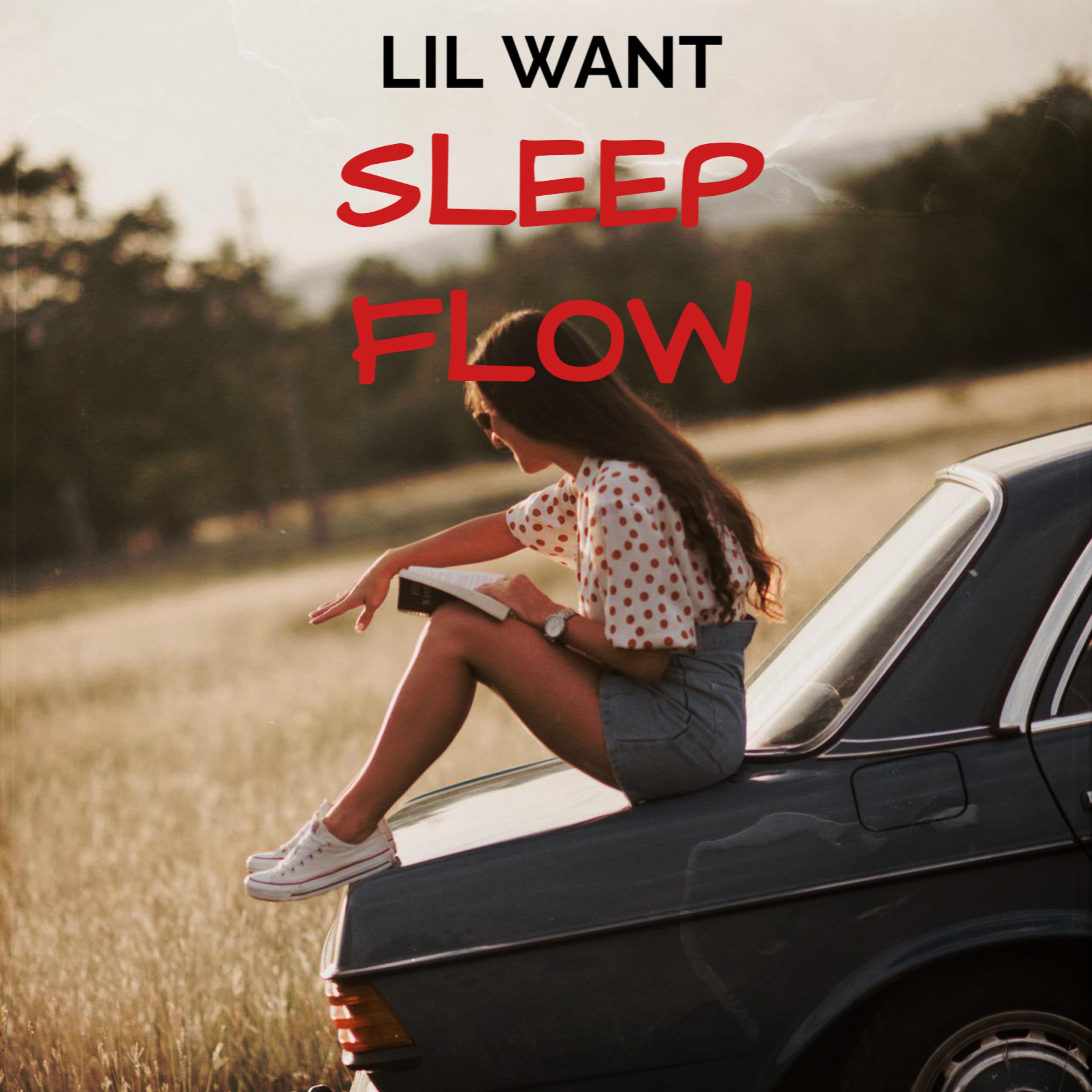 Постер альбома Sleep Flow (feat. Lol Lid)
