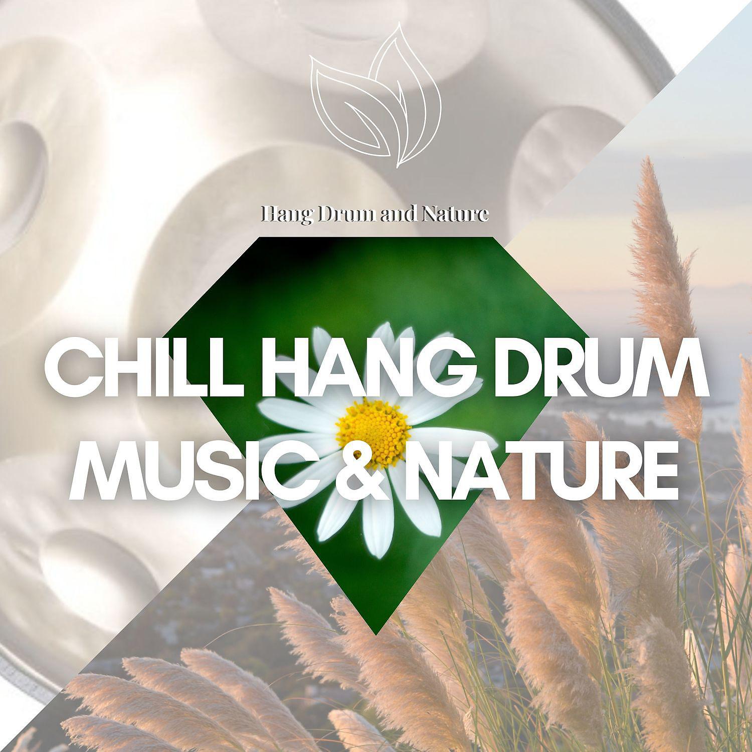 Постер альбома Chill Hang Drum Music & Nature