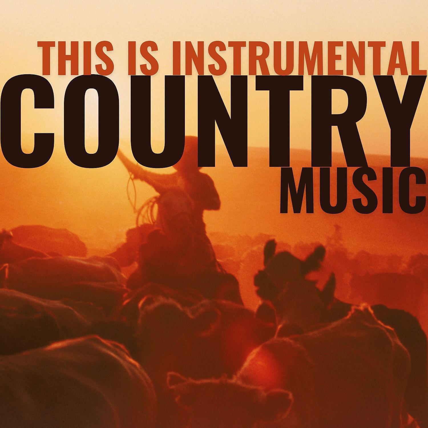 Постер альбома This Is Instrumental Country Music