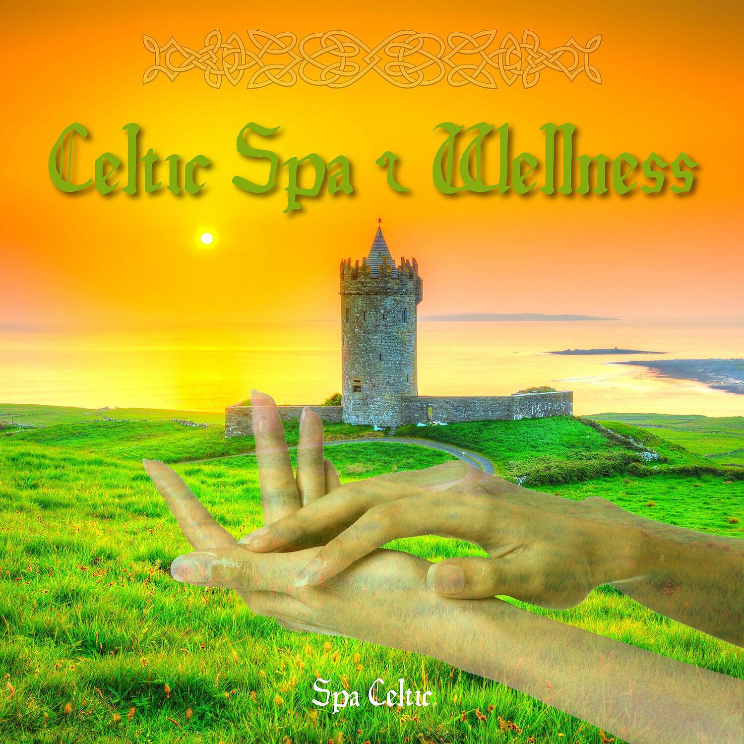 Постер альбома Celtic Spa & Wellness Music