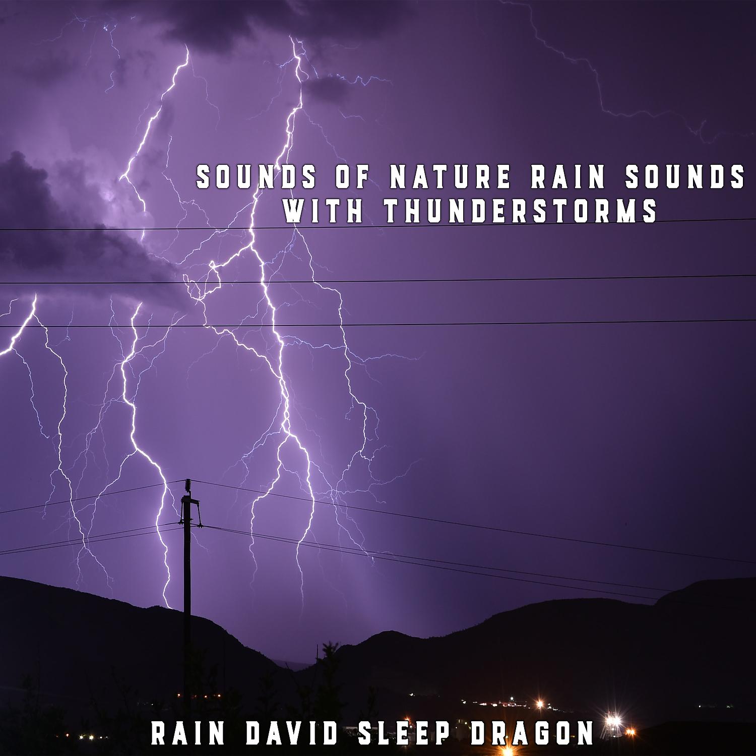 Постер альбома Sounds of Nature Rain Sounds with Thunderstorms