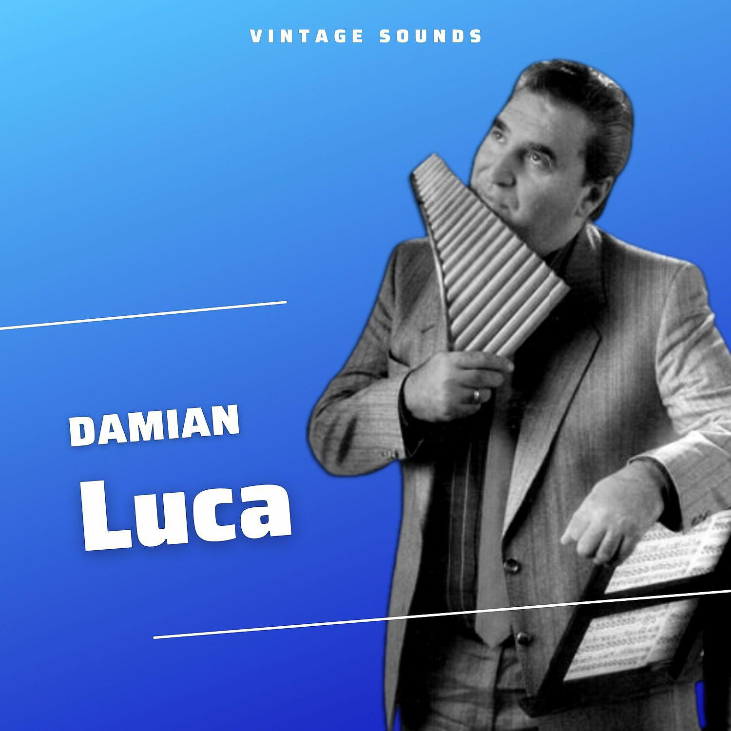 Постер альбома Damian Luca - Vintage Sounds