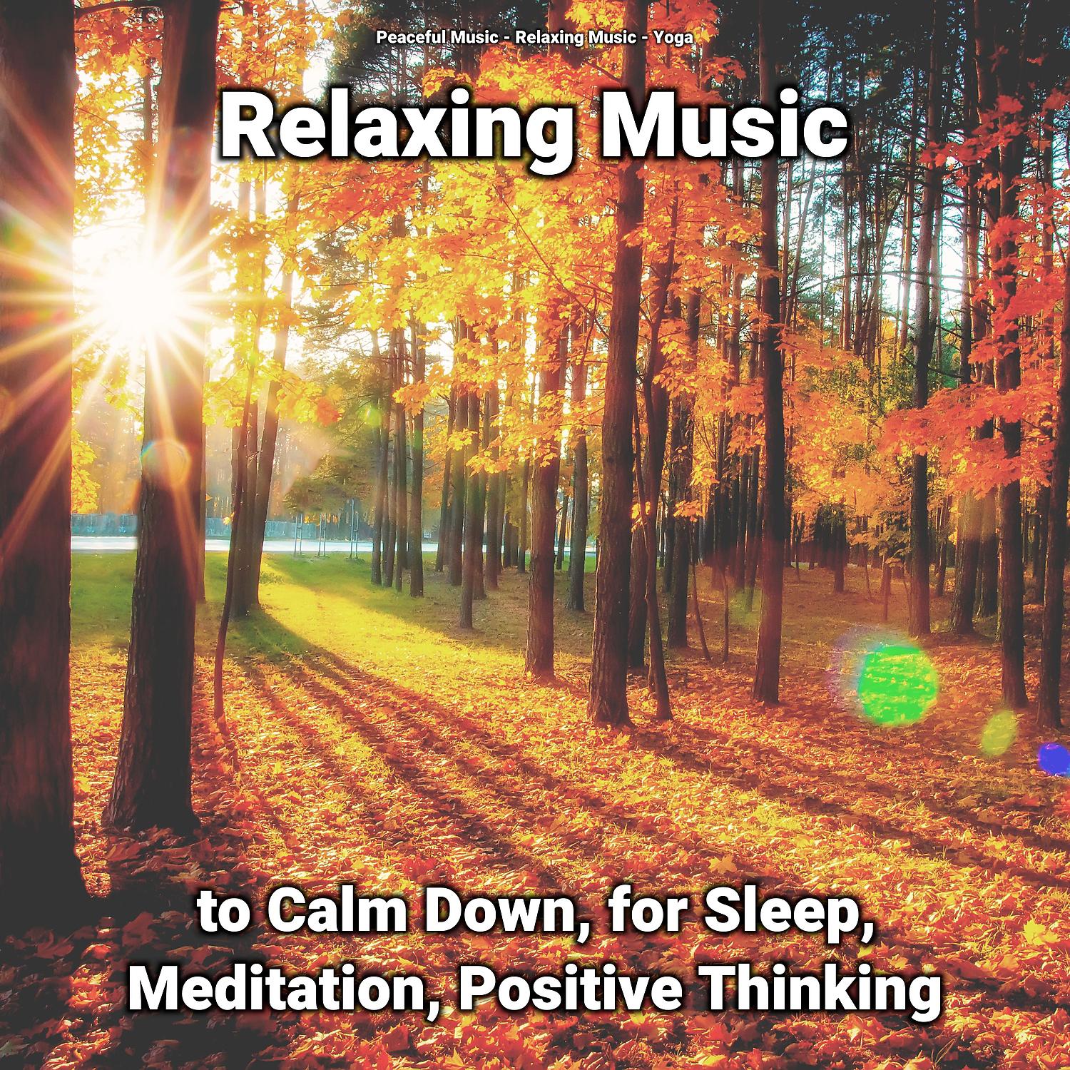 Постер альбома Relaxing Music to Calm Down, for Sleep, Meditation, Positive Thinking