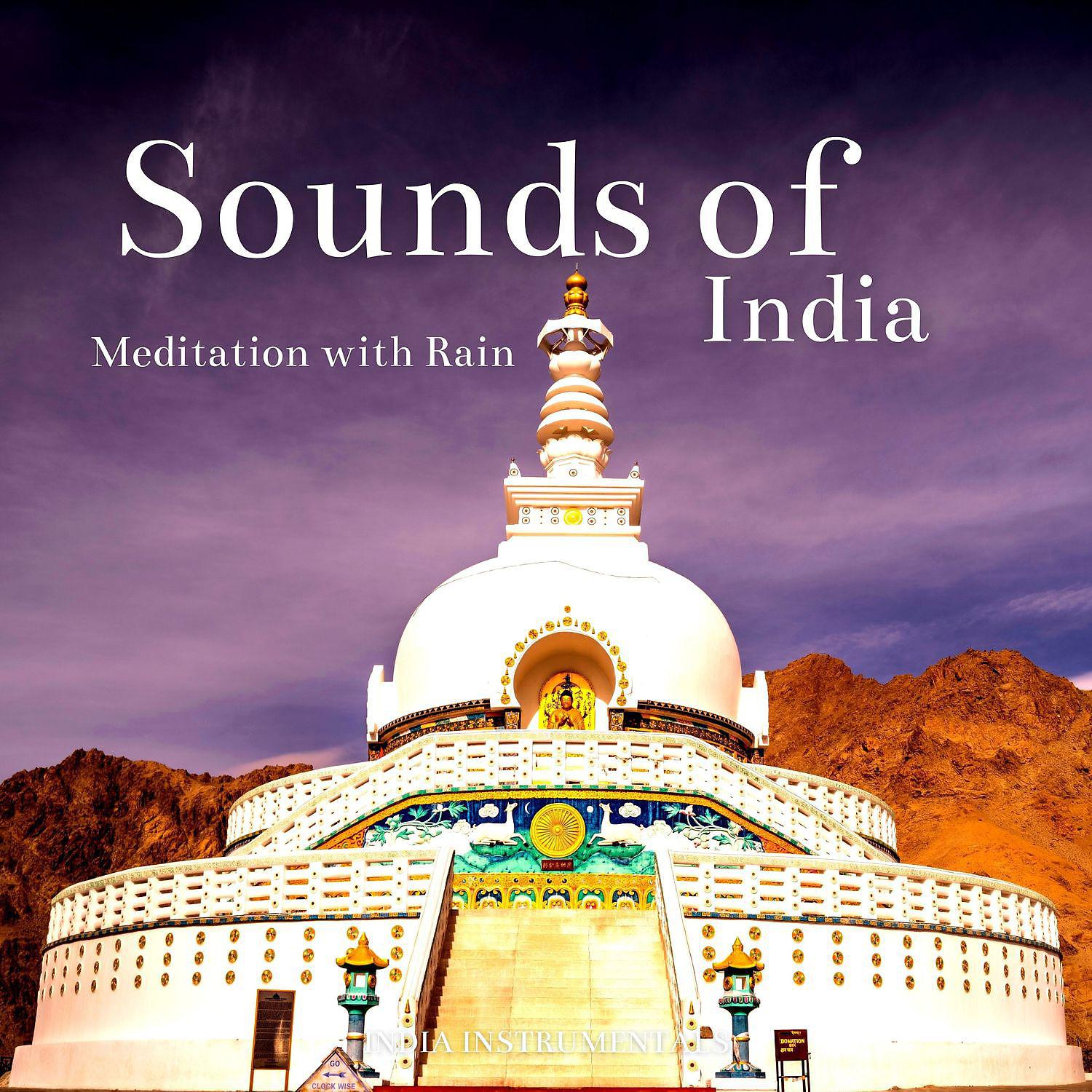 Постер альбома Sounds of India for Meditation with Rain