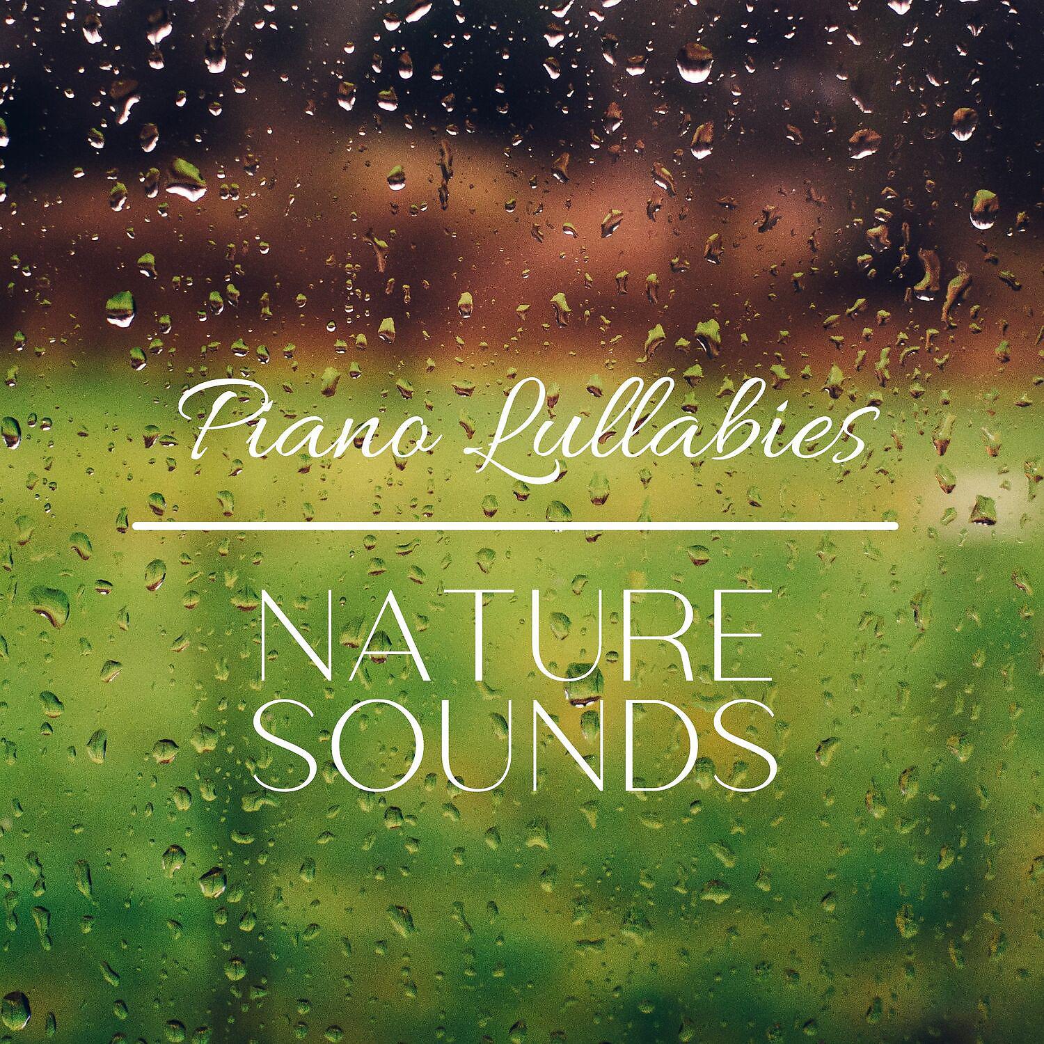 Постер альбома Piano Lullabies with Nature Sounds of Rain for Baby Sleep