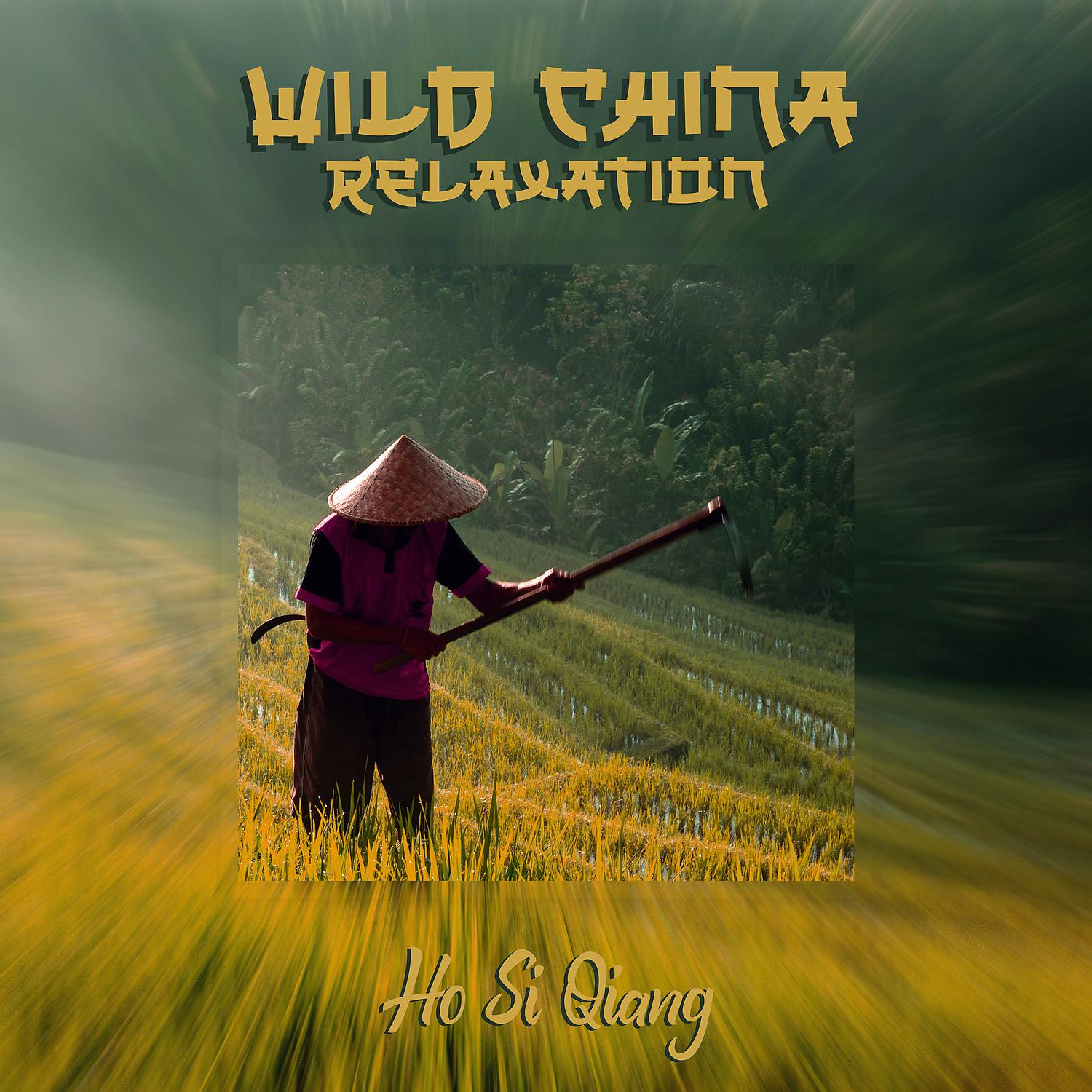 Постер альбома Wild China Relaxation