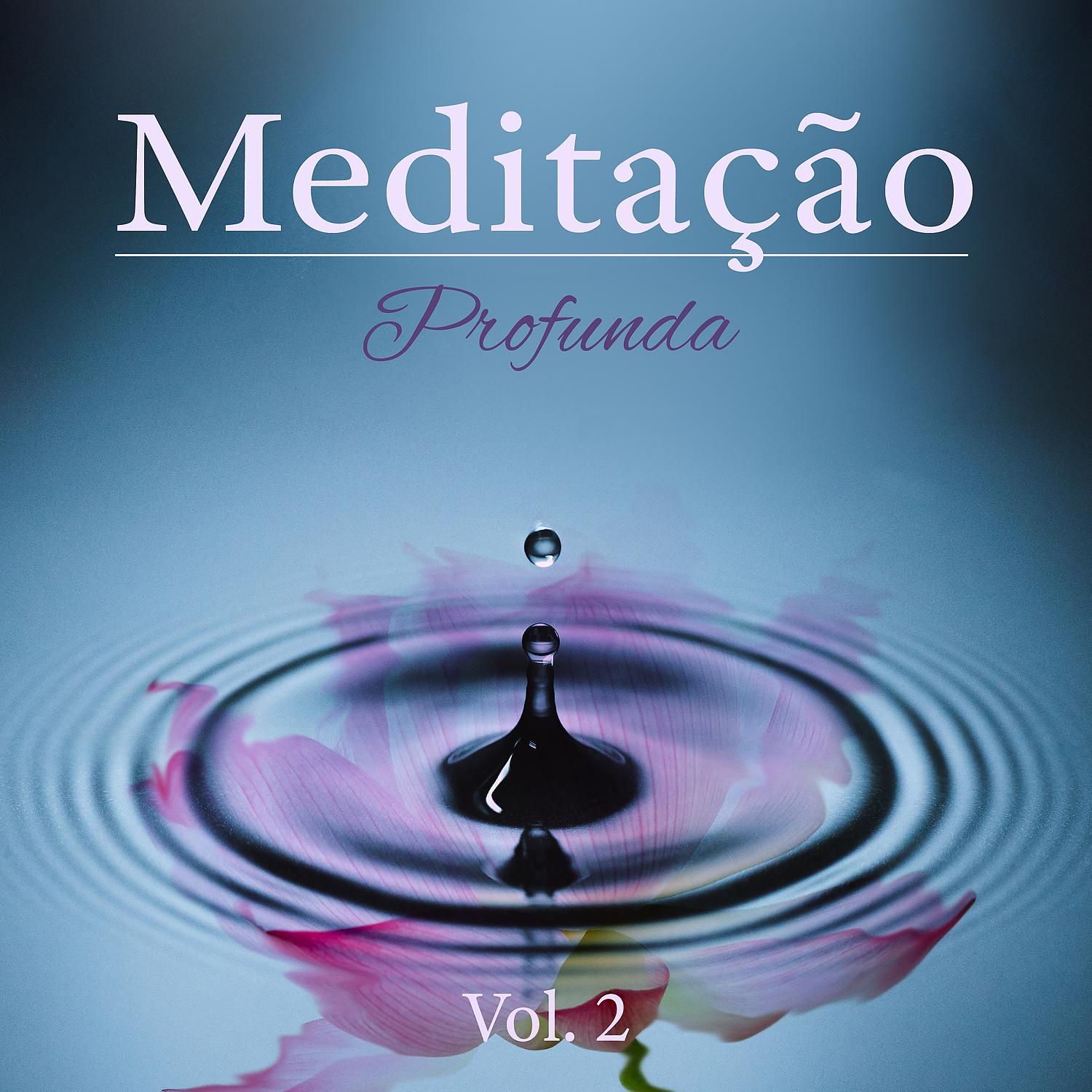 Постер альбома Meditação Profunda Vol. 2 - Música Zen Cura para Reiki, Atenção Plena e Treinamento da Mente, Mantra Ioga, Sons da Natureza