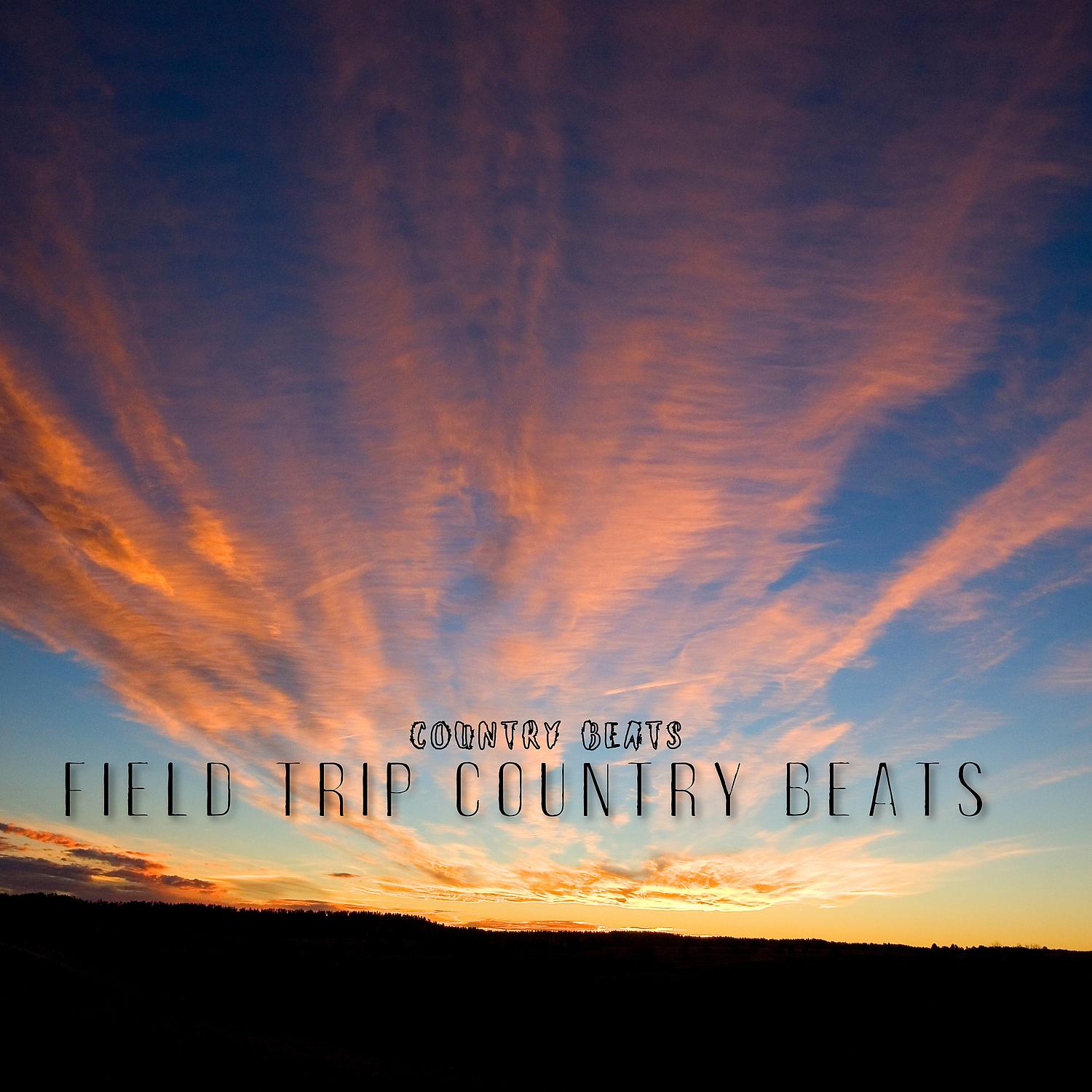 Постер альбома Field Trip Country Beats
