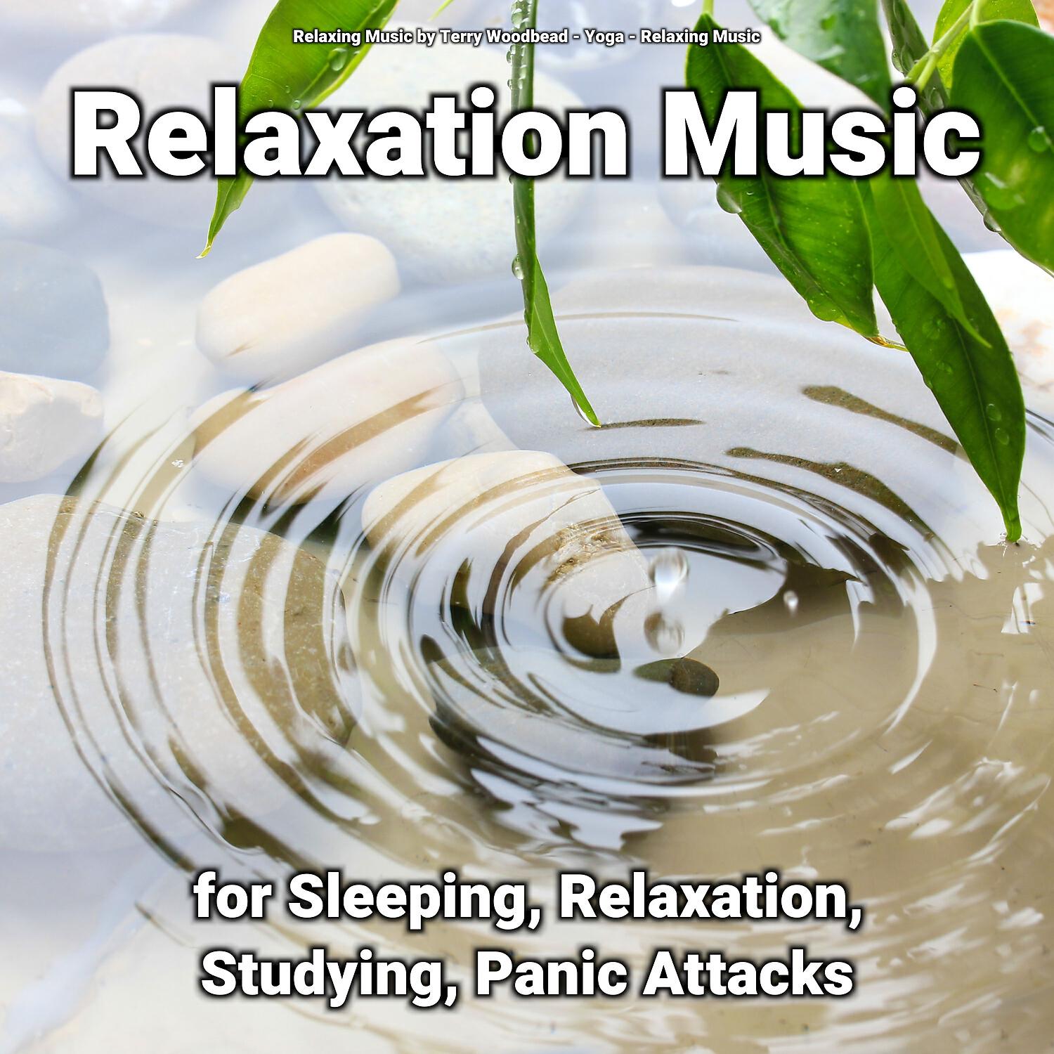 Relaxing Music - Sleep Music